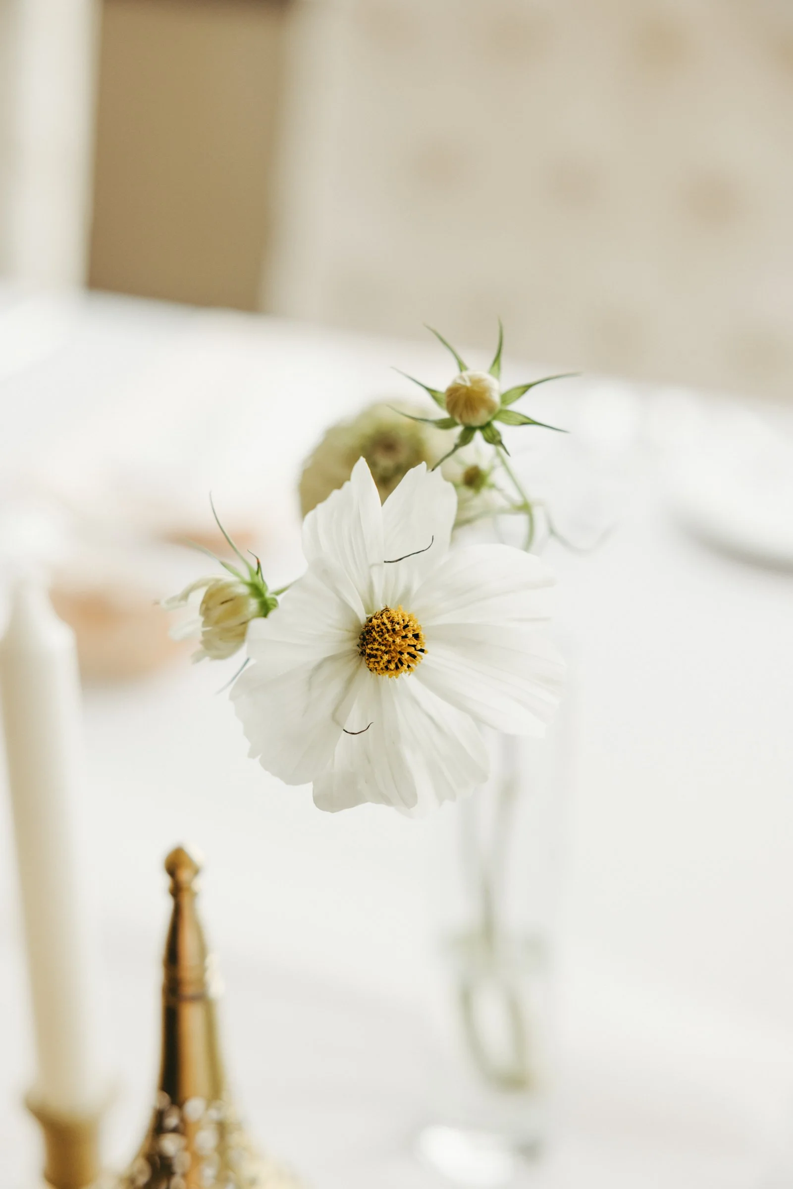 le-belvedere-wedding-0101.jpg