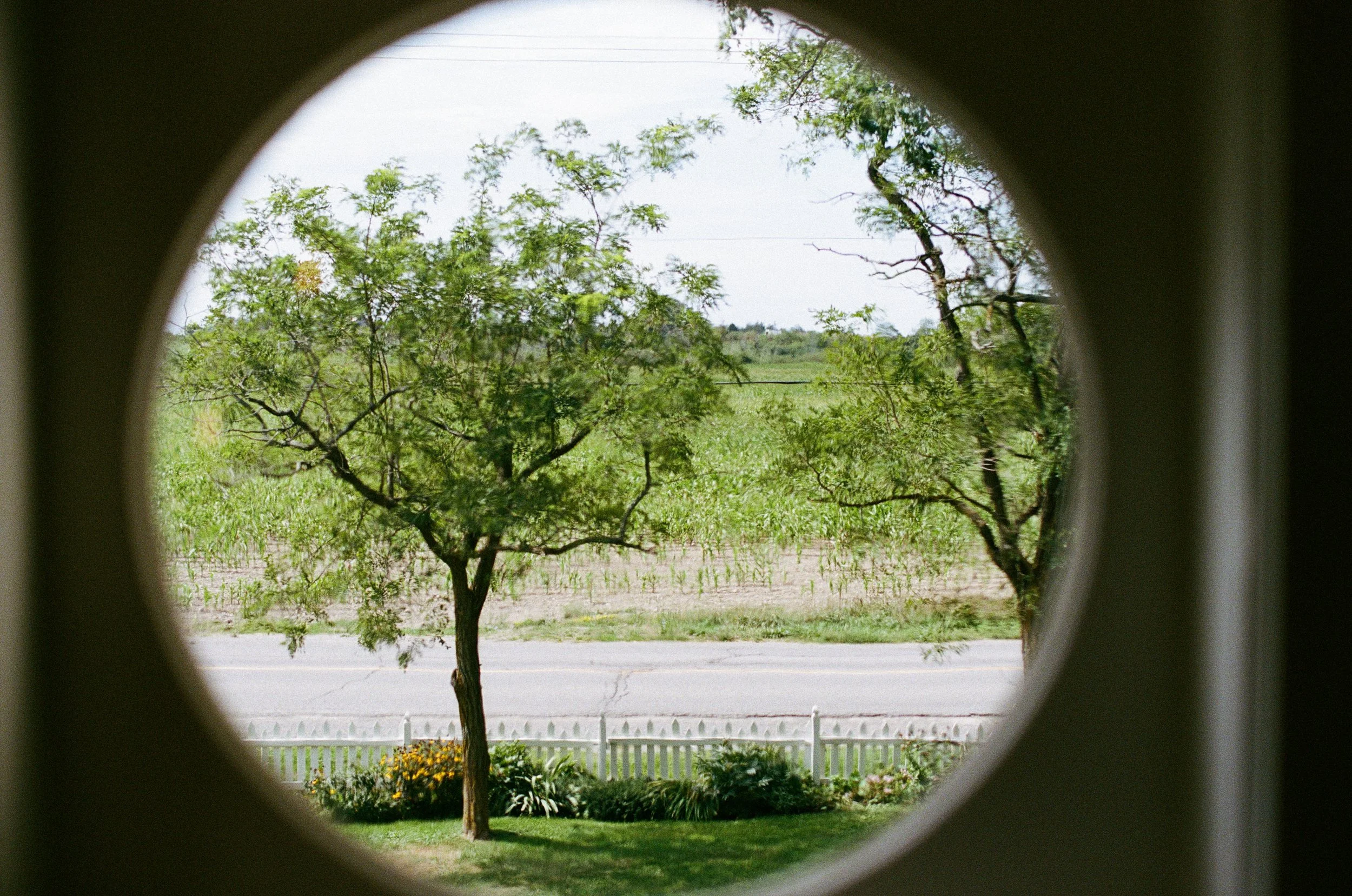 Ottawa-film-photographer-tracy-grace-0210.jpg