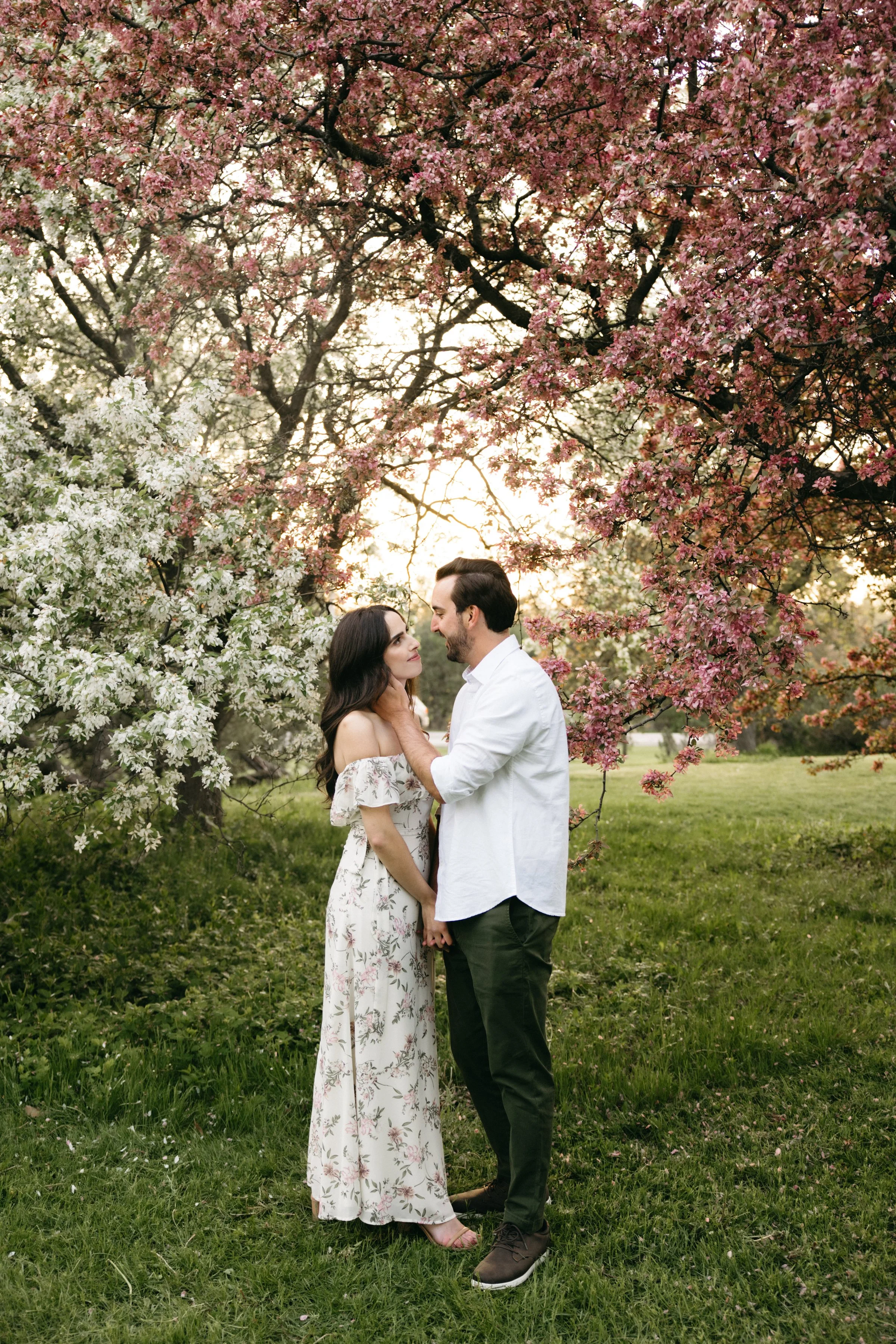 ottawa-blossom-engagement-session-0067.jpg