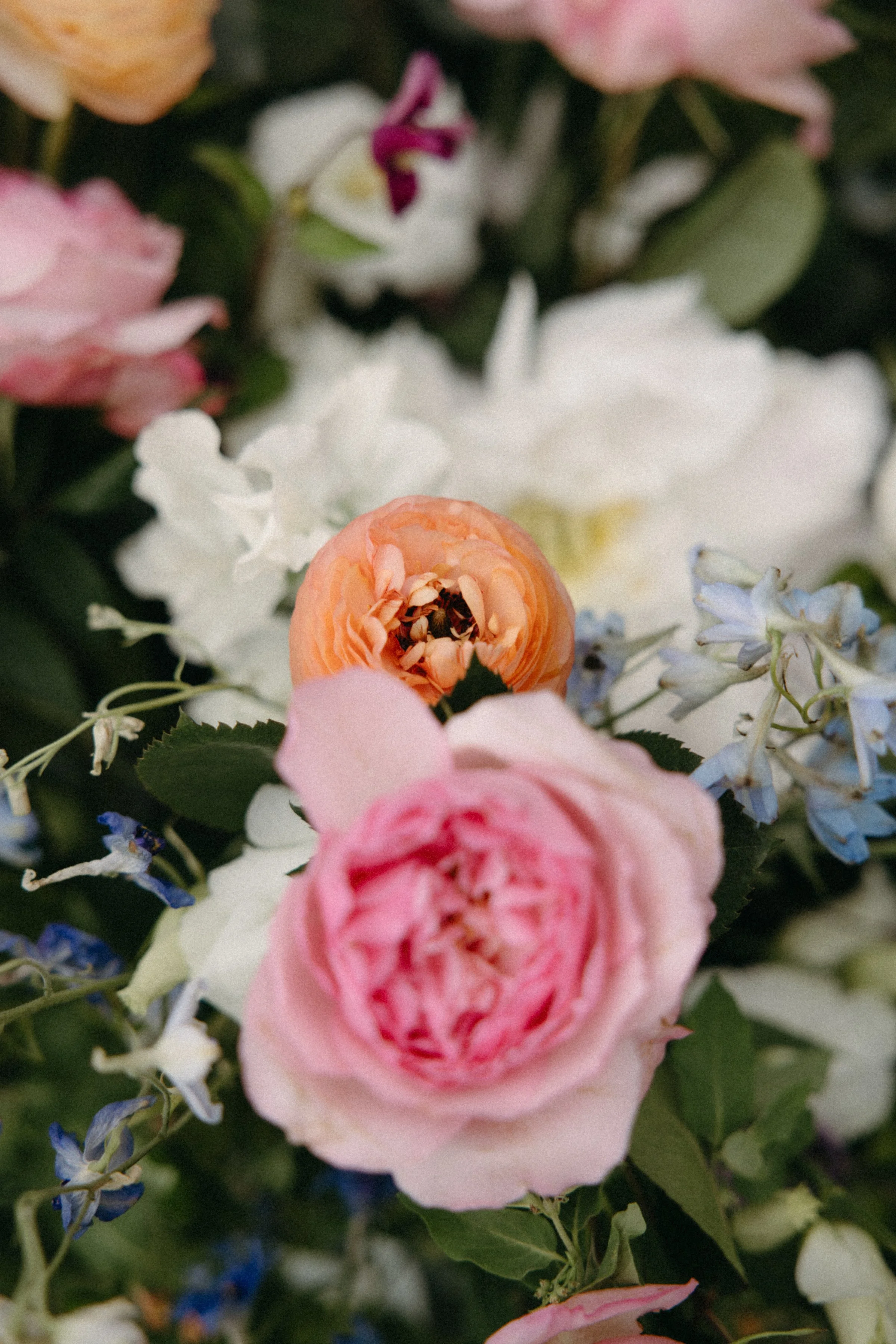OTLBC-Wedding-Ottawa-0126.jpg