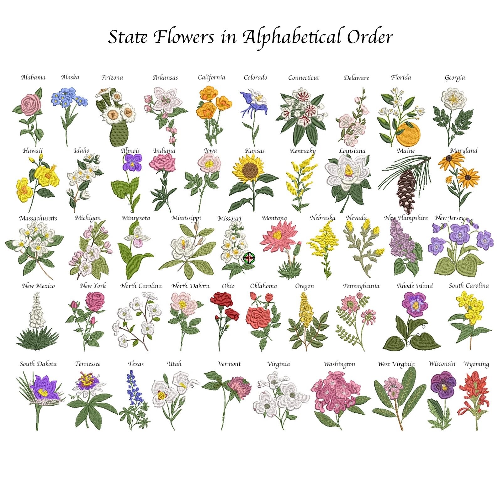 state flowers white.jpeg
