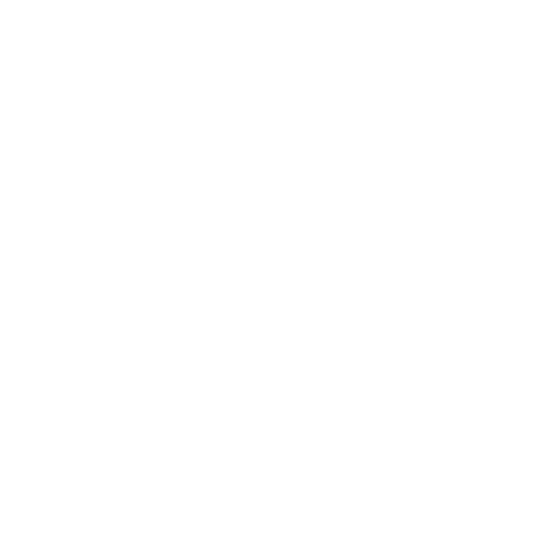 Adrienne Troy offers personalized Tarot readings at Mystic Fox Healing Center.