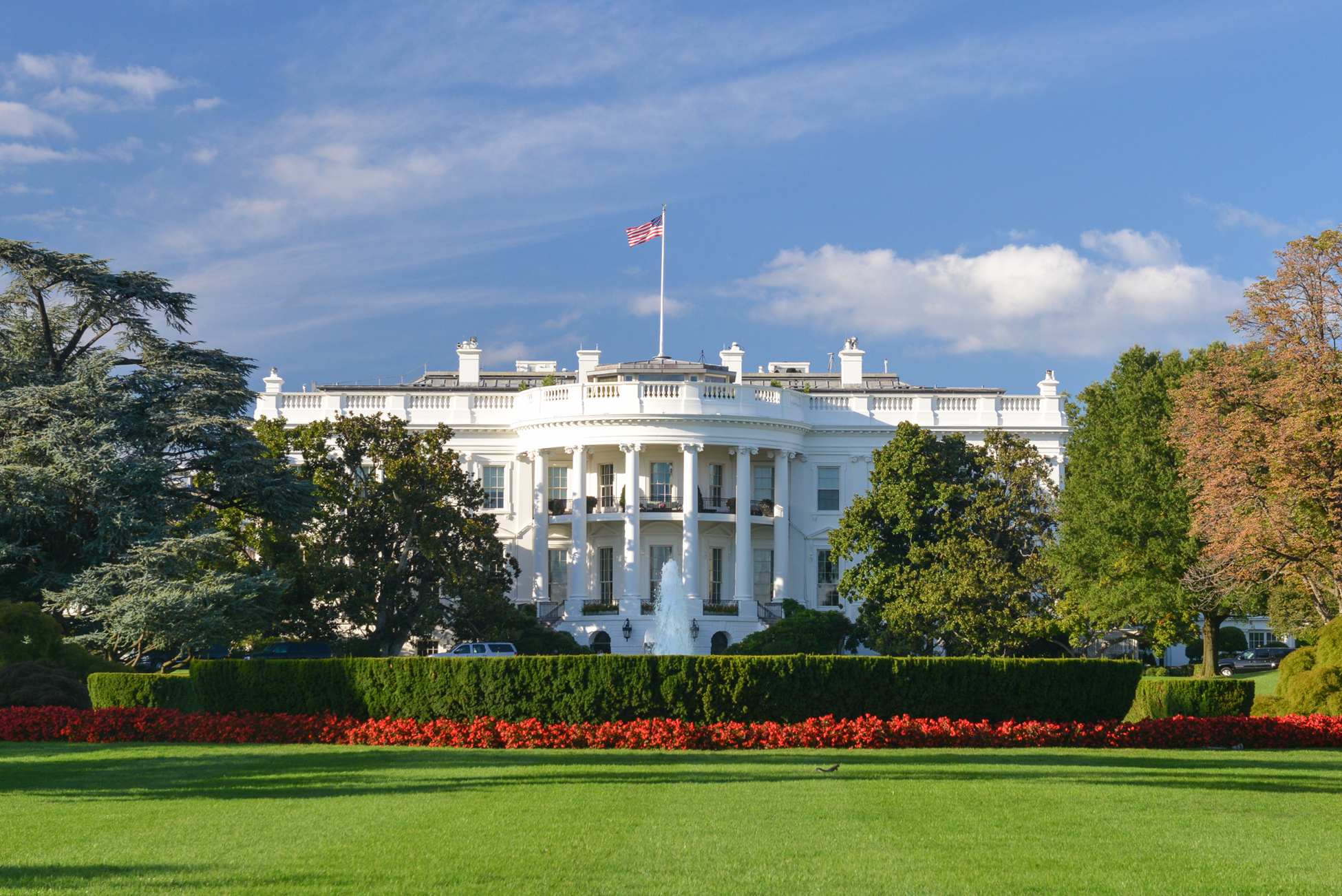 Letter to President-Elect Trump 