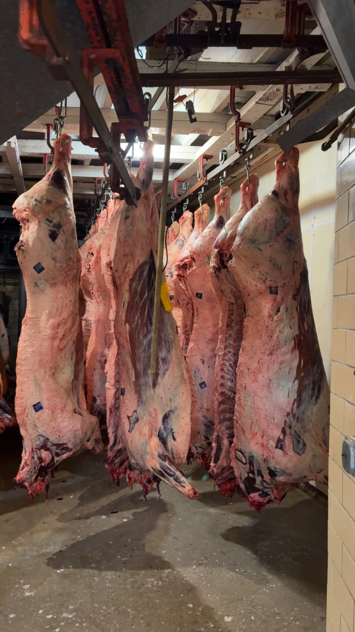 Why We Dry Age Beef 17–21 Days