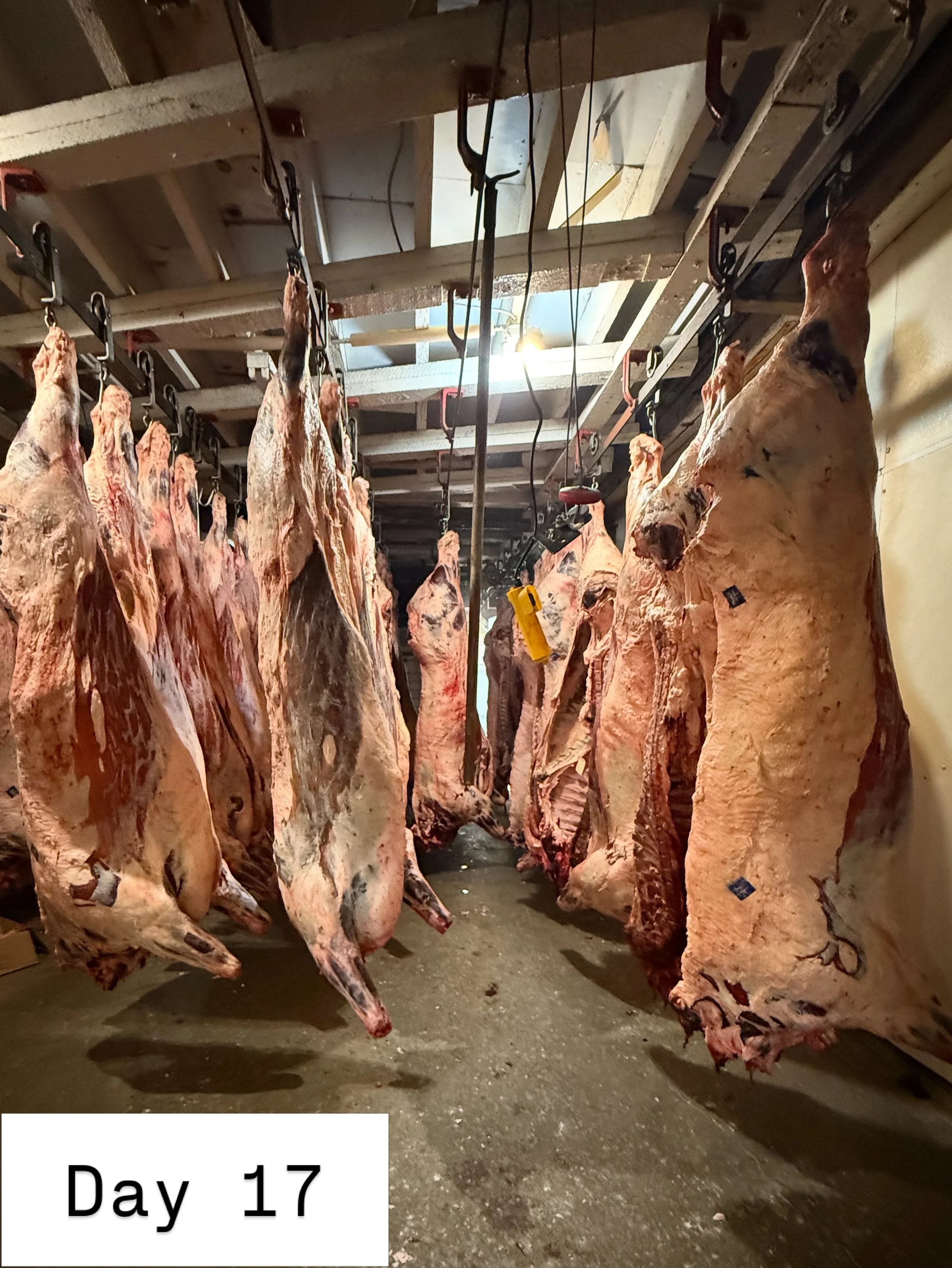 Why Maxwell Custom Beef Dry Ages Every Beef for 17–21 Days (And Why You'll Taste the Difference)