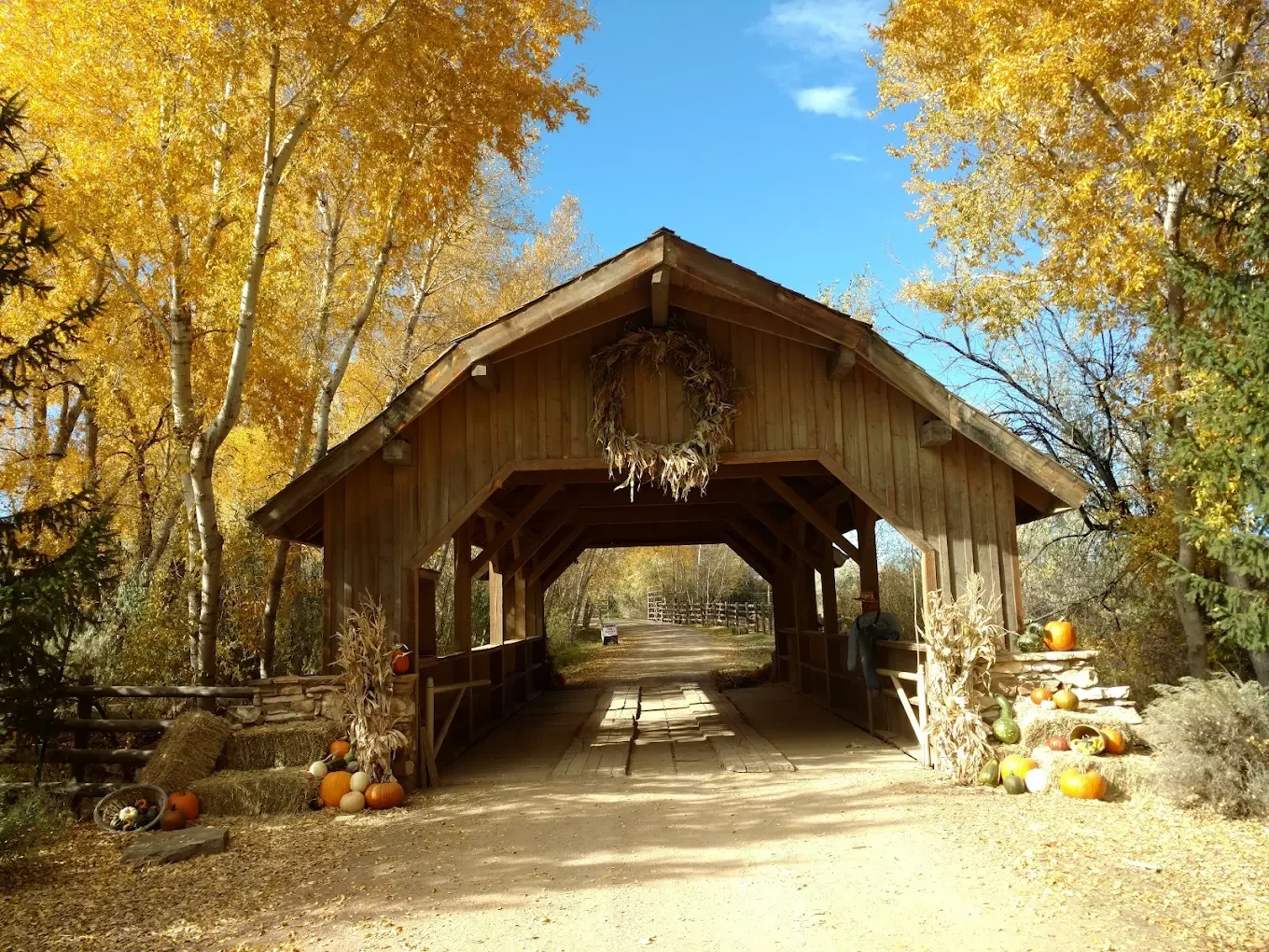 Free entry to the Pumpkin Patch @ the Covered Bridge Ranch!