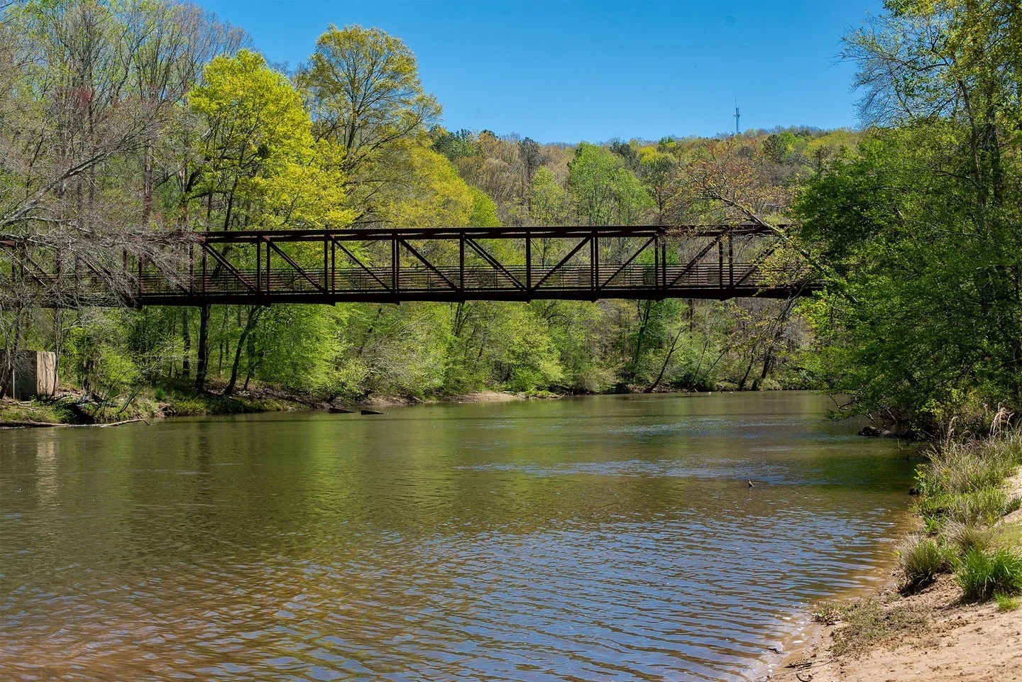 MOVE & FLOW: Nature Hike