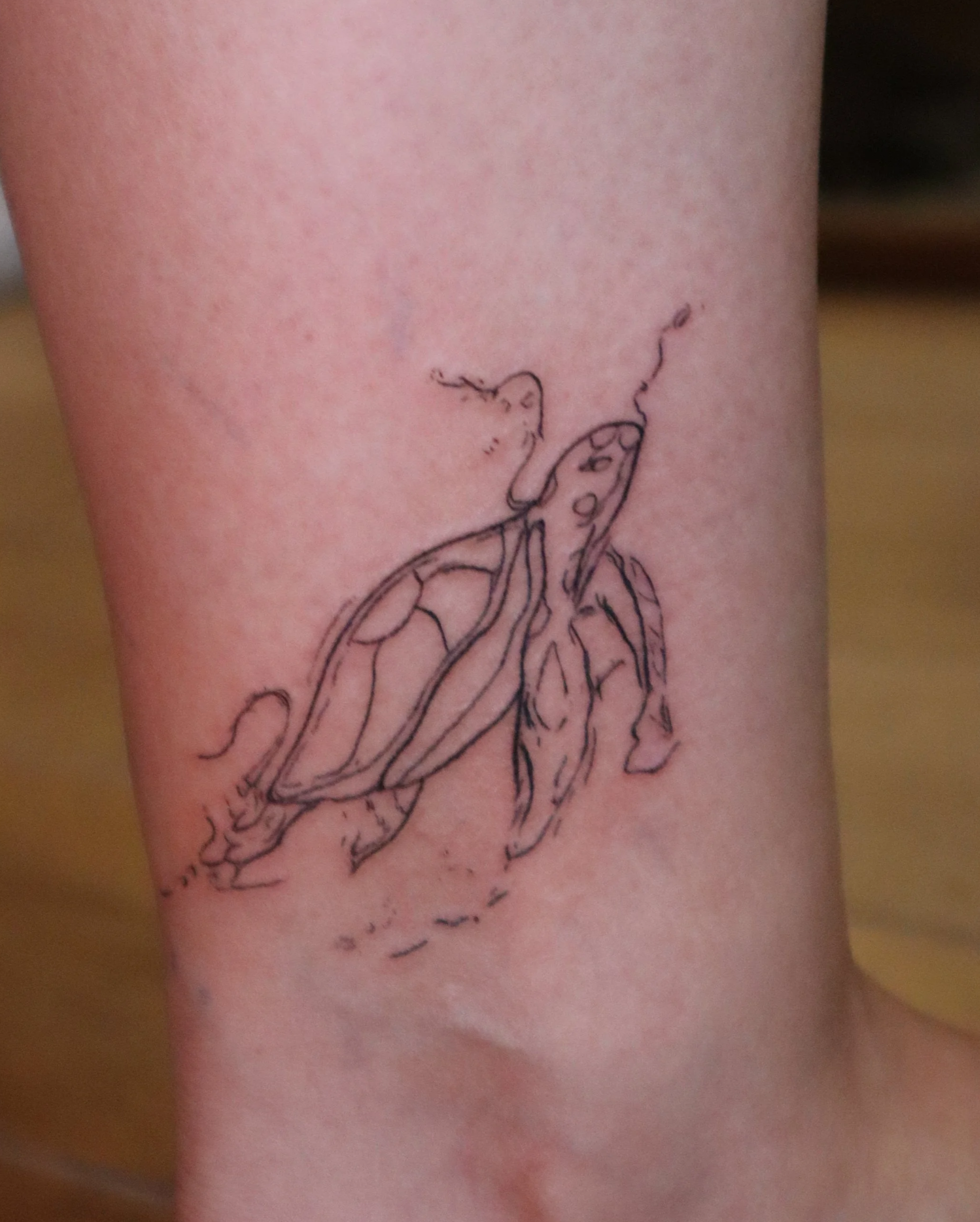 Tattoo of a outlined turtle with abstract line details on a person's skin.