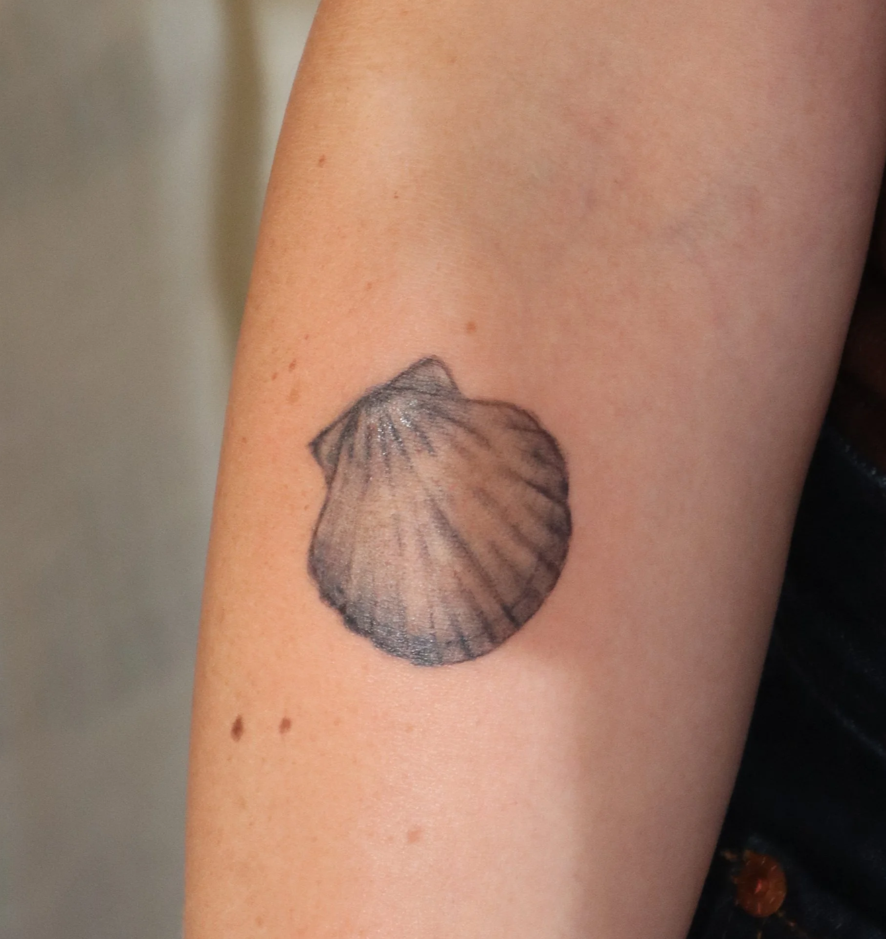 Tattoo of a seashell on person's arm.
