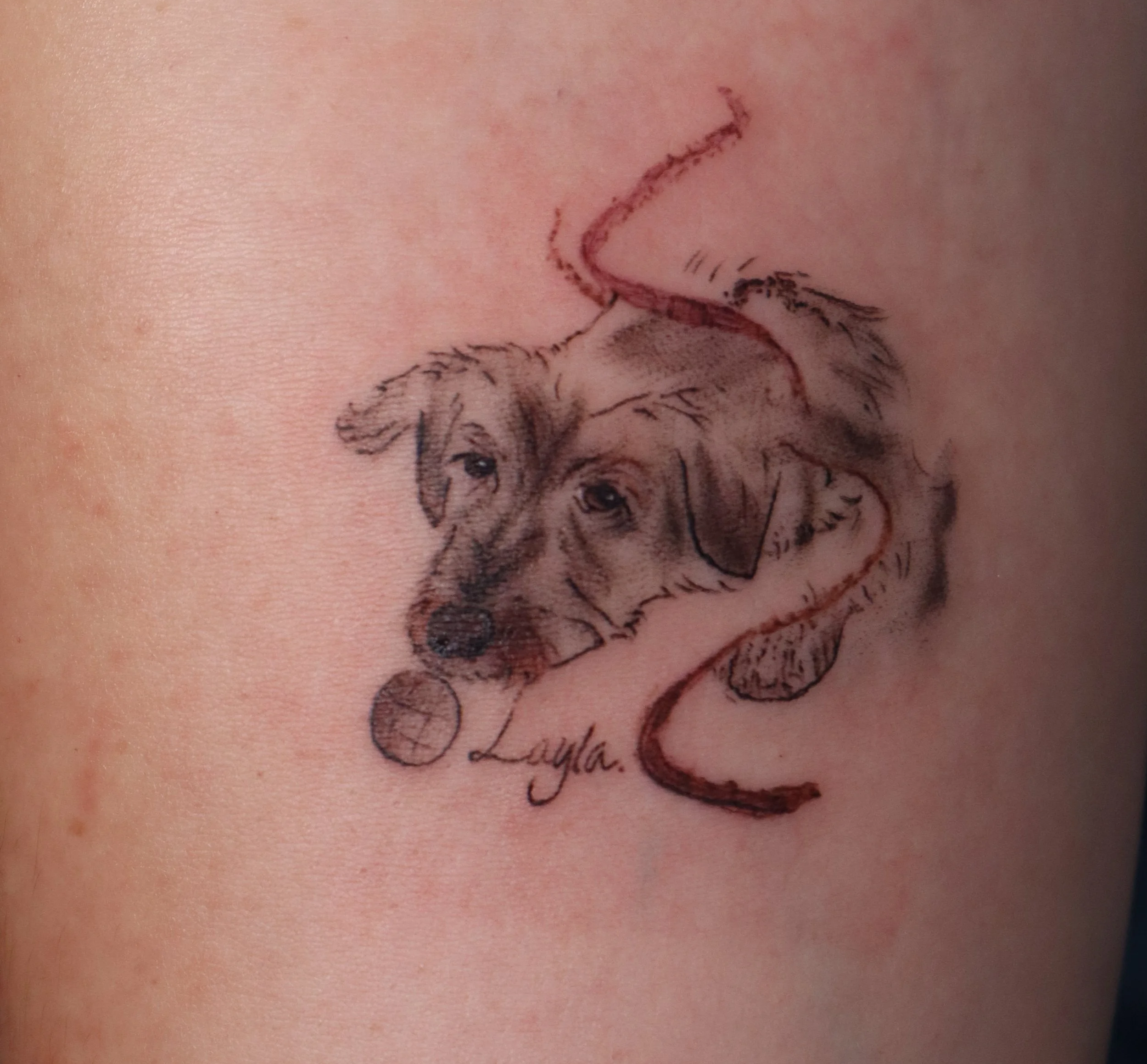 Tattoo of a playful dog with a ball, with the name 'Layla' written below.