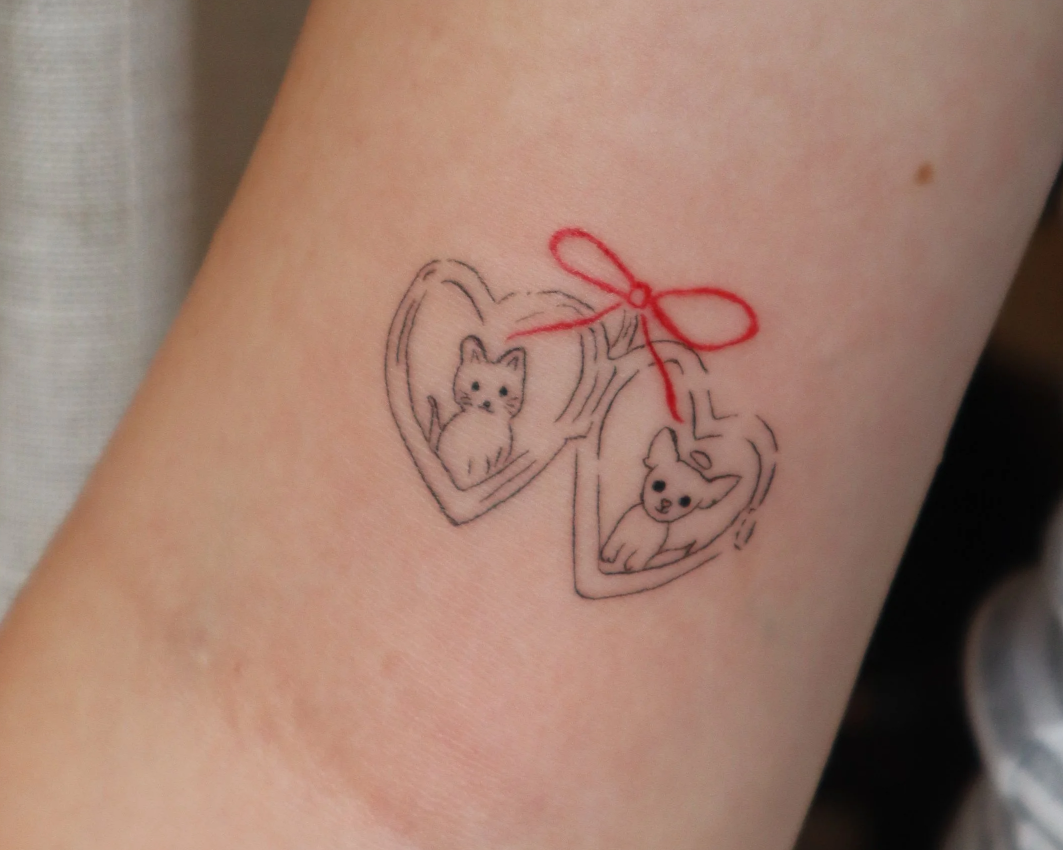 Tattoo of two heart-shaped frames with cats inside and a red bow connecting them.