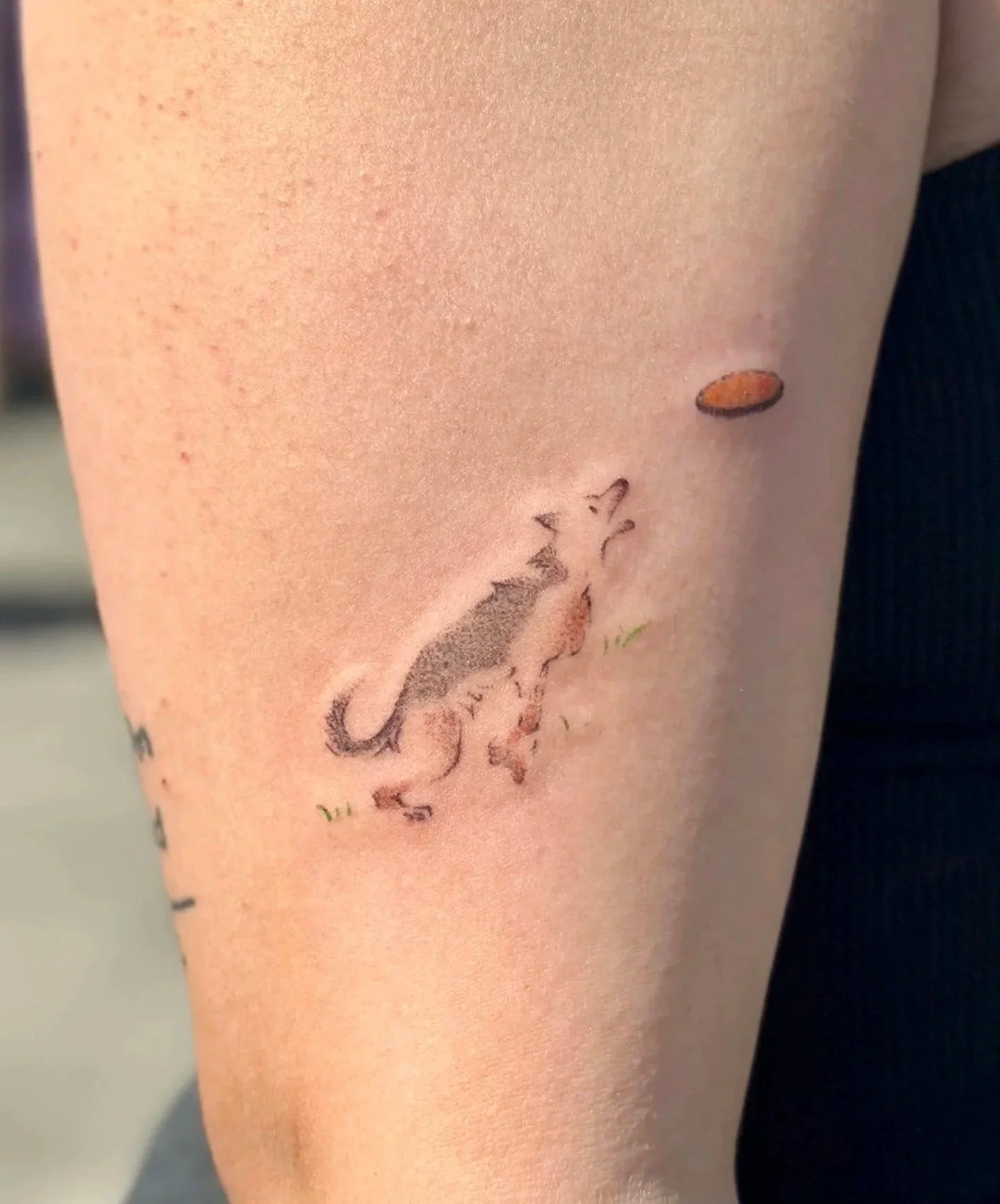 A tattoo of a gray cat with black markings and a small pink dog, surrounded by small blades of grass, on a person's arm.