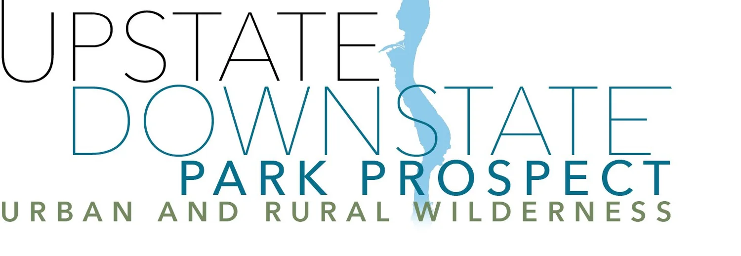 Downstate Upstate &mdash; Park Prospect
