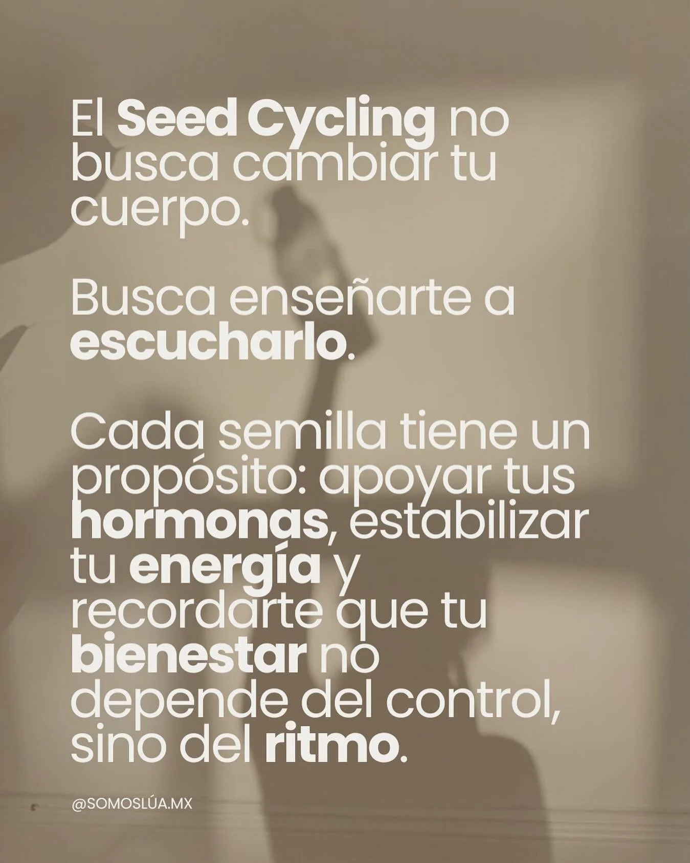 Escuchar a tu cuerpo tambi&eacute;n es una forma de sanar. El seed cycling acompa&ntilde;a a tus hormonas para devolverle a tu cuerpo lo que necesita: equilibrio, energ&iacute;a y calma. 🌙🤍✨

#somoslua#seedcycling#hormonalbalance#hormonehealth#bala
