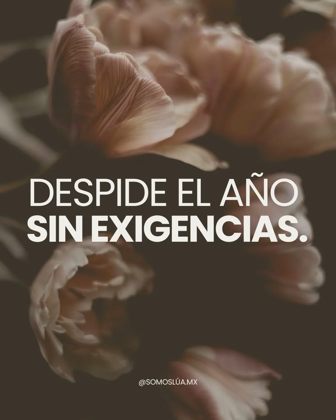 Este cierre no es para exigirte m&aacute;s, es para escucharte m&aacute;s.
Menos presi&oacute;n, menos &ldquo;deber&iacute;a&rdquo;, menos comparaci&oacute;n. M&aacute;s descanso, m&aacute;s claridad, m&aacute;s estar presente en tu ritmo. Despide el