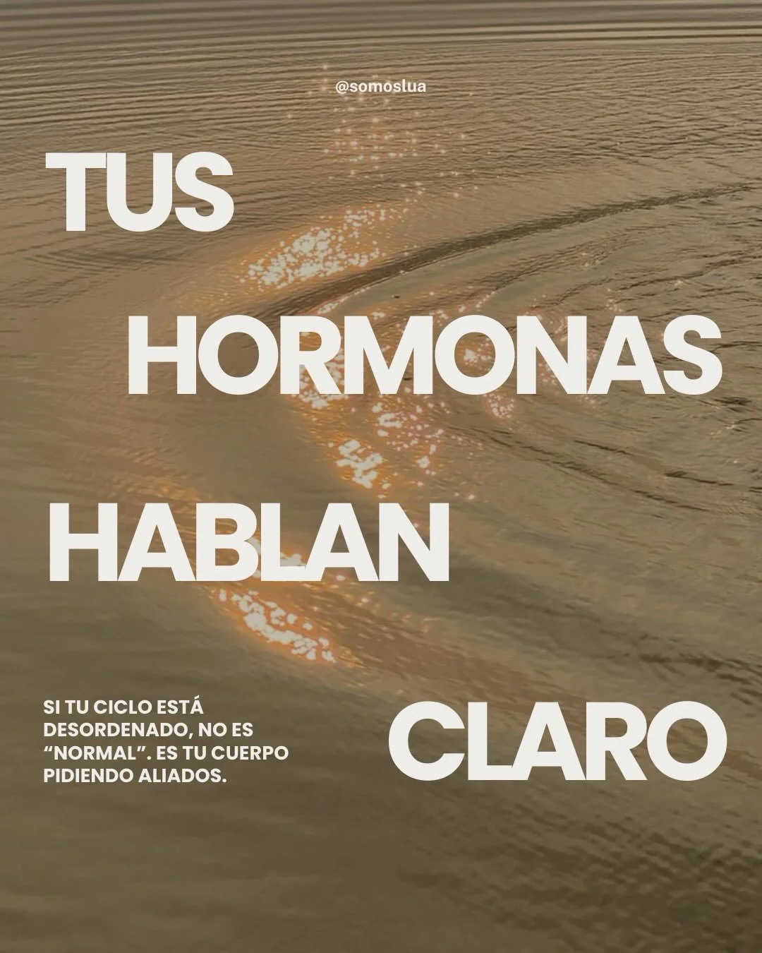 Tus hormonas hablan m&aacute;s de lo que crees. Solo necesitas saber c&oacute;mo escucharlas. 🤎🌙 

#somoslua#seedcycling#seedcyclingforwoman#wellness#bienestarhormonal