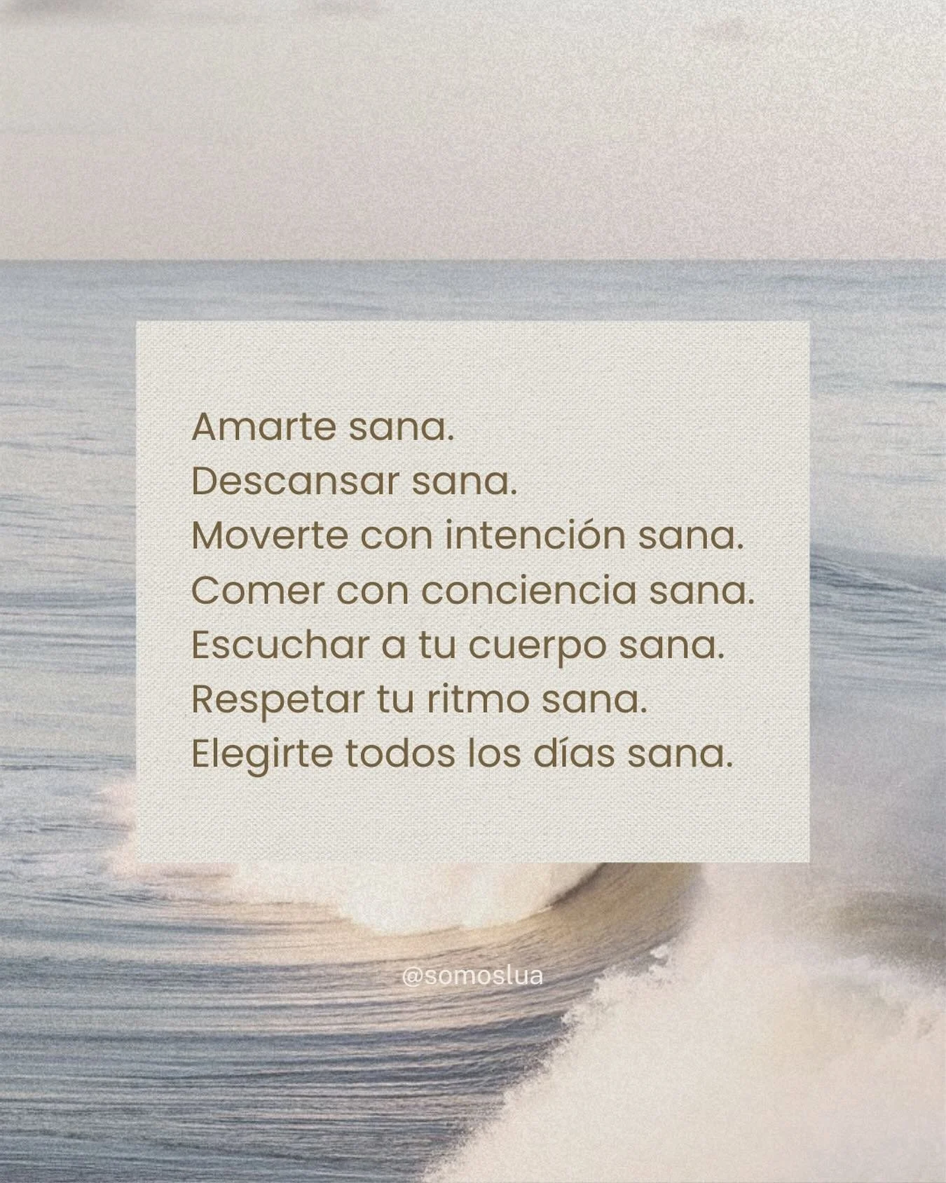 Sanar es un proceso cotidiano. Est&aacute; en c&oacute;mo te hablas, en c&oacute;mo te mueves, en c&oacute;mo comes, descansas y te escuchas. 🤎✨ No tiene que ser perfecto. Solo tiene que ser honesto 🌙💖

#somoslua#seedcycling#seedcyclingforwoman#we