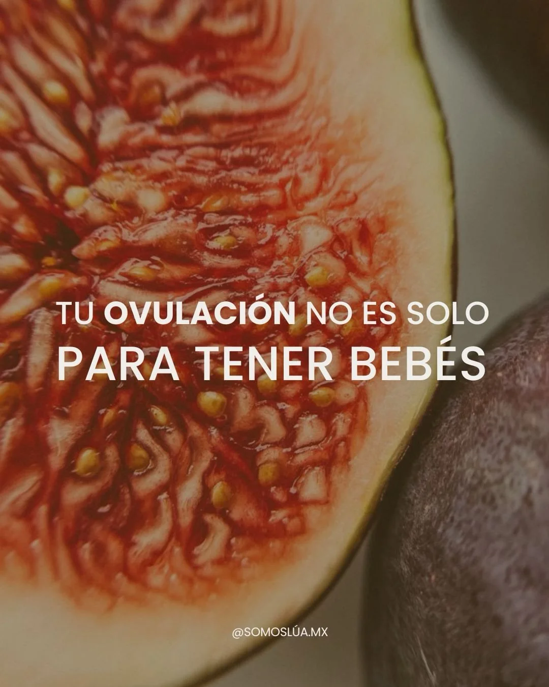 Tu energ&iacute;a cambia durante el mes.
Y tu nutrici&oacute;n tambi&eacute;n deber&iacute;a hacerlo 🌙

Hay momentos donde tu cuerpo necesita m&aacute;s impulso.
Y otros donde necesita sost&eacute;n y regulaci&oacute;n.

No comemos igual todos los d