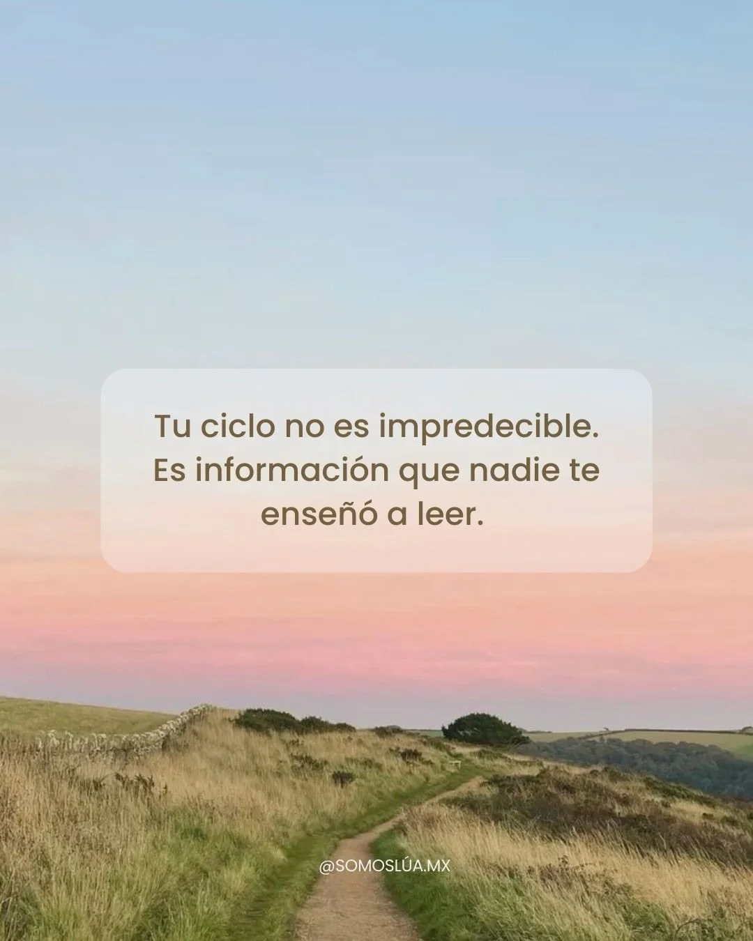 Tu ciclo no es un enemigo.

Es un sistema de informaci&oacute;n.

Cuando entiendes que tu menstruaci&oacute;n refleja los &uacute;ltimos meses,
dejas de reaccionar y empiezas a acompa&ntilde;ar.

La regulaci&oacute;n hormonal no se fuerza.
Se constru