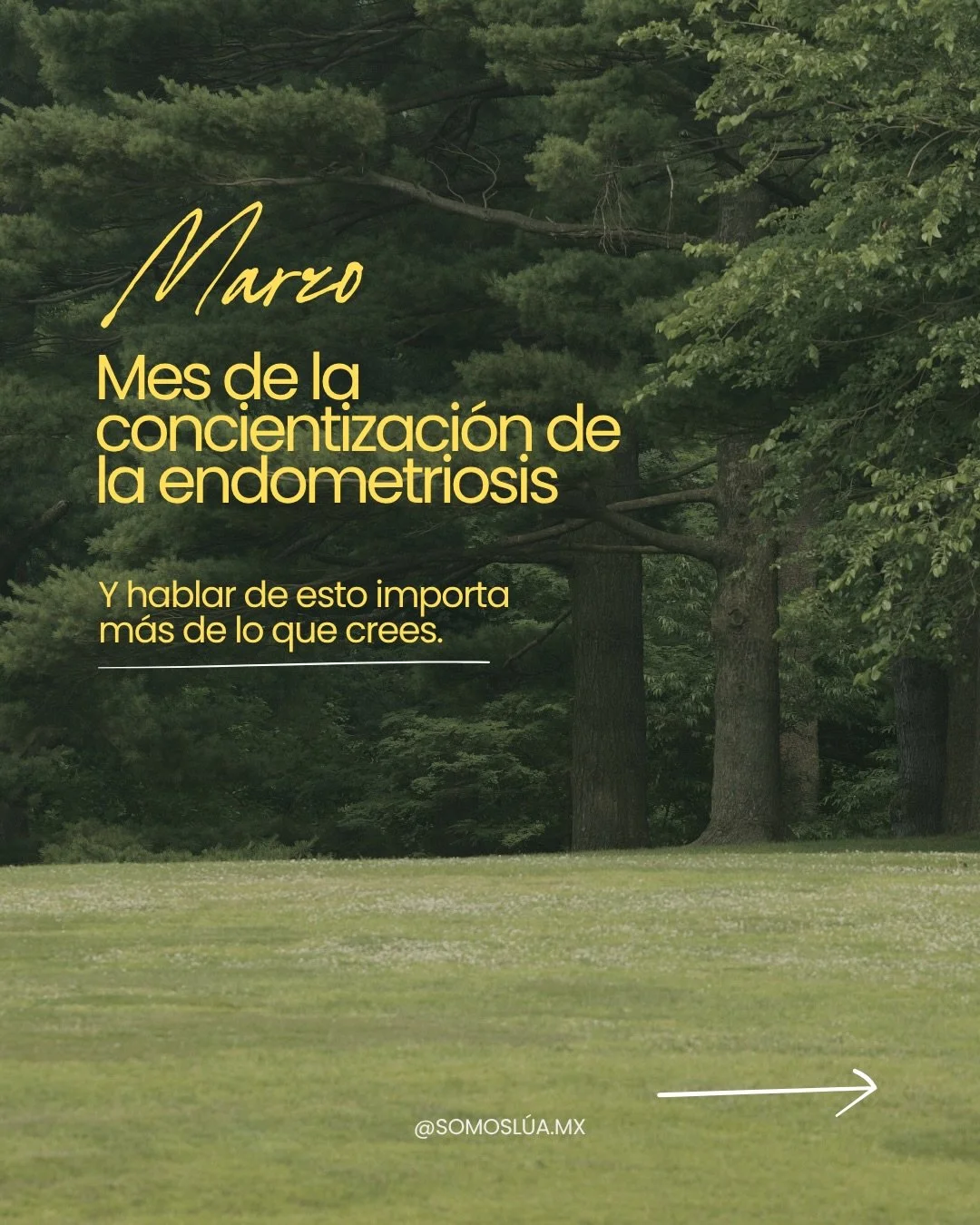 La endometriosis es una condici&oacute;n que va mucho m&aacute;s all&aacute; del dolor. 🤍
Puede afectar tu energ&iacute;a, tu estado de &aacute;nimo, tu rutina
y la forma en la que vives tu d&iacute;a a d&iacute;a. 🌙
Y a&uacute;n as&iacute;, muchas