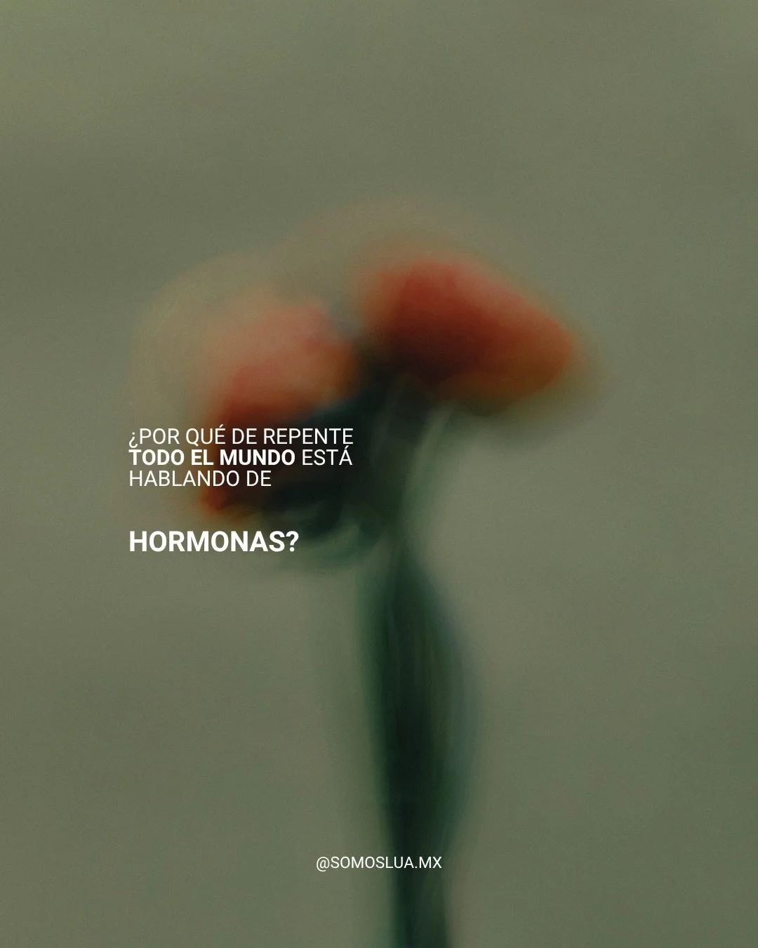 &Uacute;ltimamente sientes que algo en tu cuerpo est&aacute; &ldquo;off&rdquo;&hellip; pero no sabes exactamente que🤍

Te dijeron que era normal:
estar cansada
inflamada
irritable
desconectada

pero la realidad es que no lo es.

Tu cuerpo no est&aac