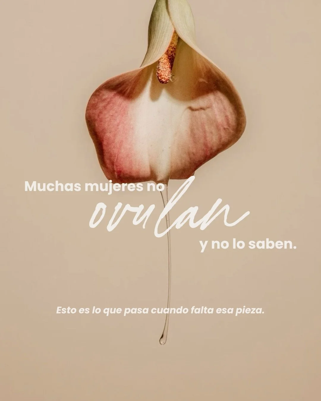 Nos ense&ntilde;aron a fijarnos solo en si &ldquo;nos baja&rdquo;&hellip;
pero casi nadie habla de lo que pasa antes.

Y cuando no hay ovulaci&oacute;n, el cuerpo s&iacute; lo resiente: energ&iacute;a, &aacute;nimo, piel, inflamaci&oacute;n, ciclos i