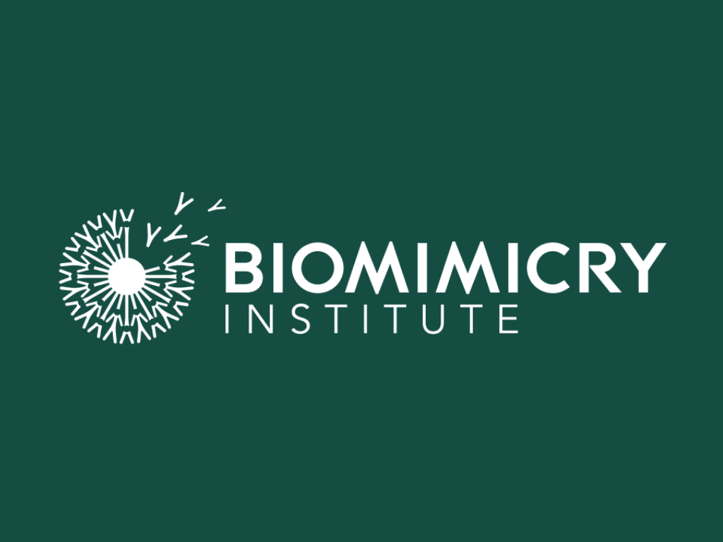 Biomimicry