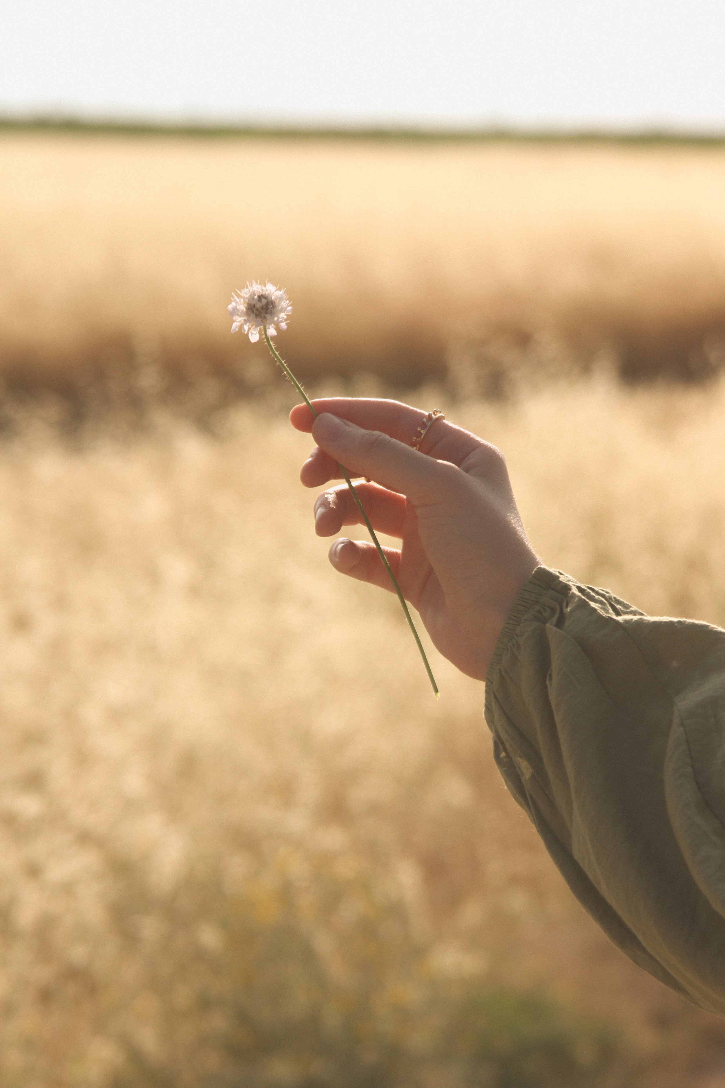 Journey Within Therapy holds space for you to bring your whole, authentic self to therapy. You don't have to filter yourself or masks parts of you.