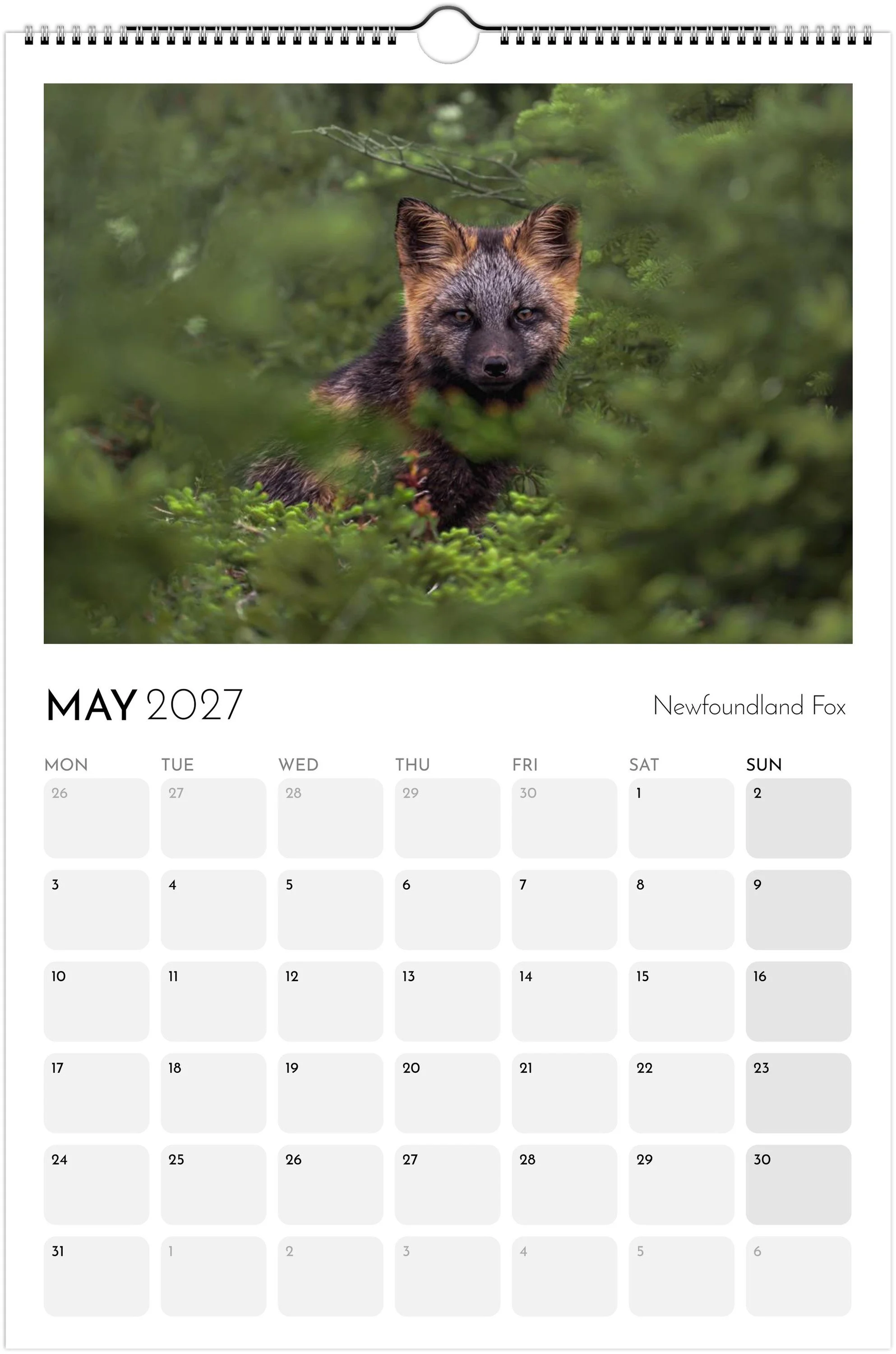 month-5.jpeg