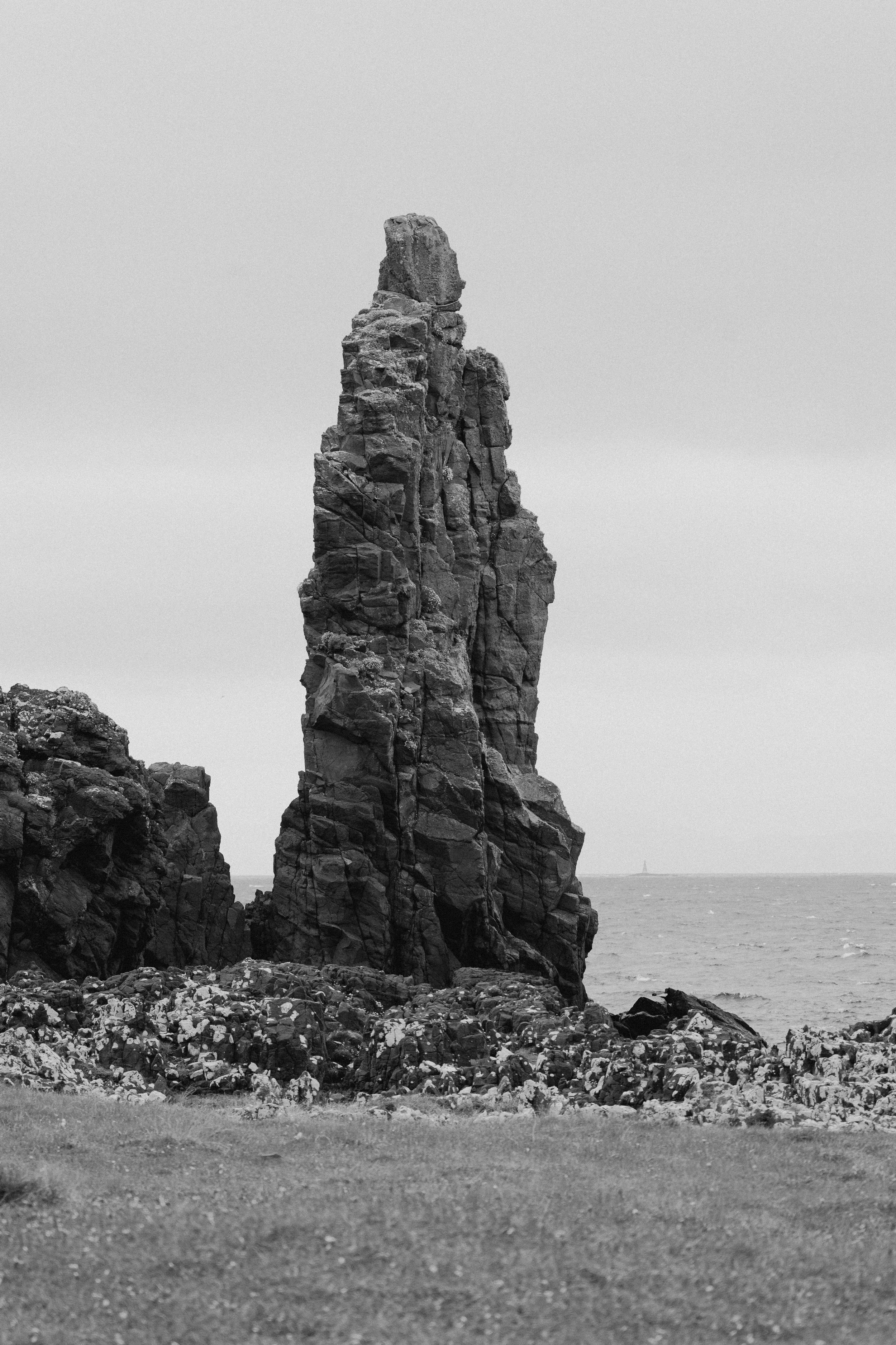 NZF_0705.jpg