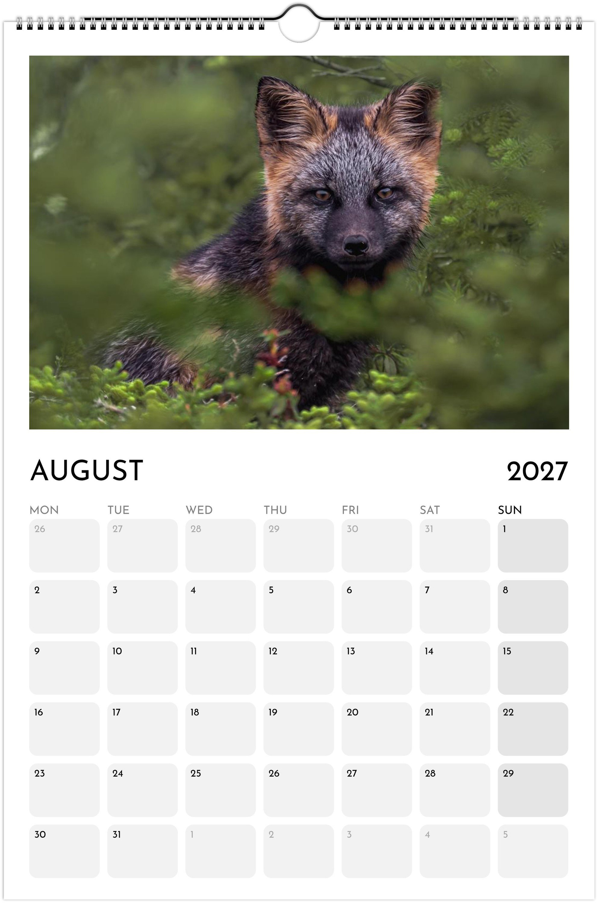 month-8.jpeg