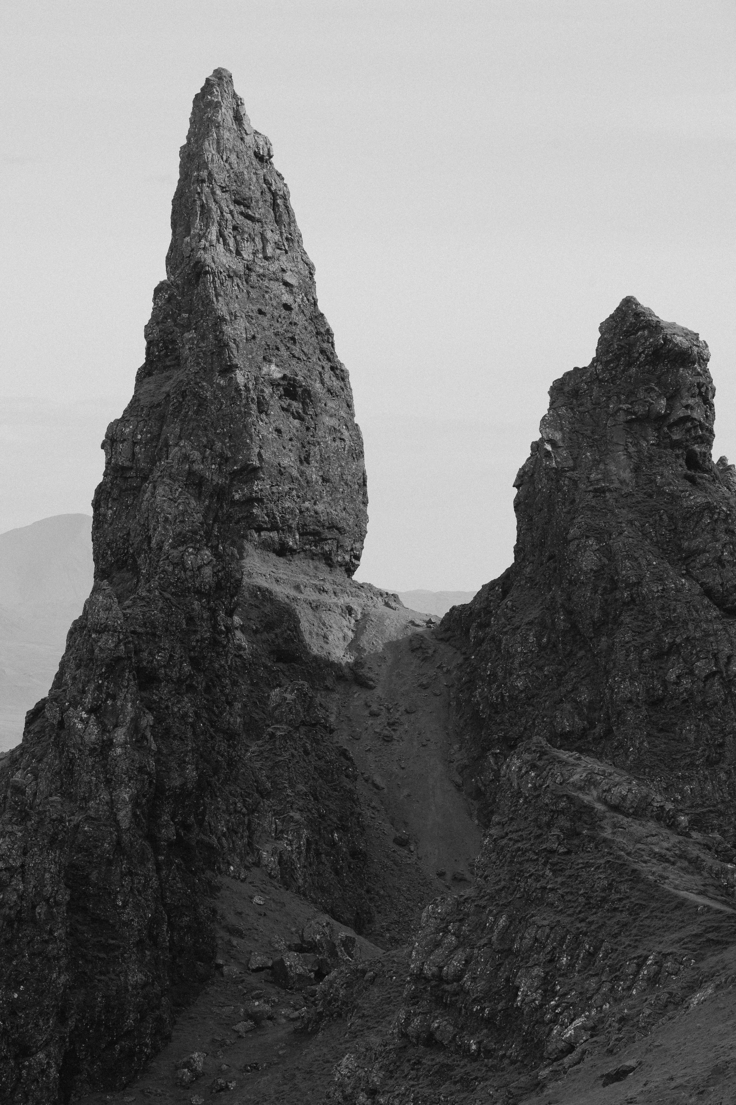 NZF_1195.jpg