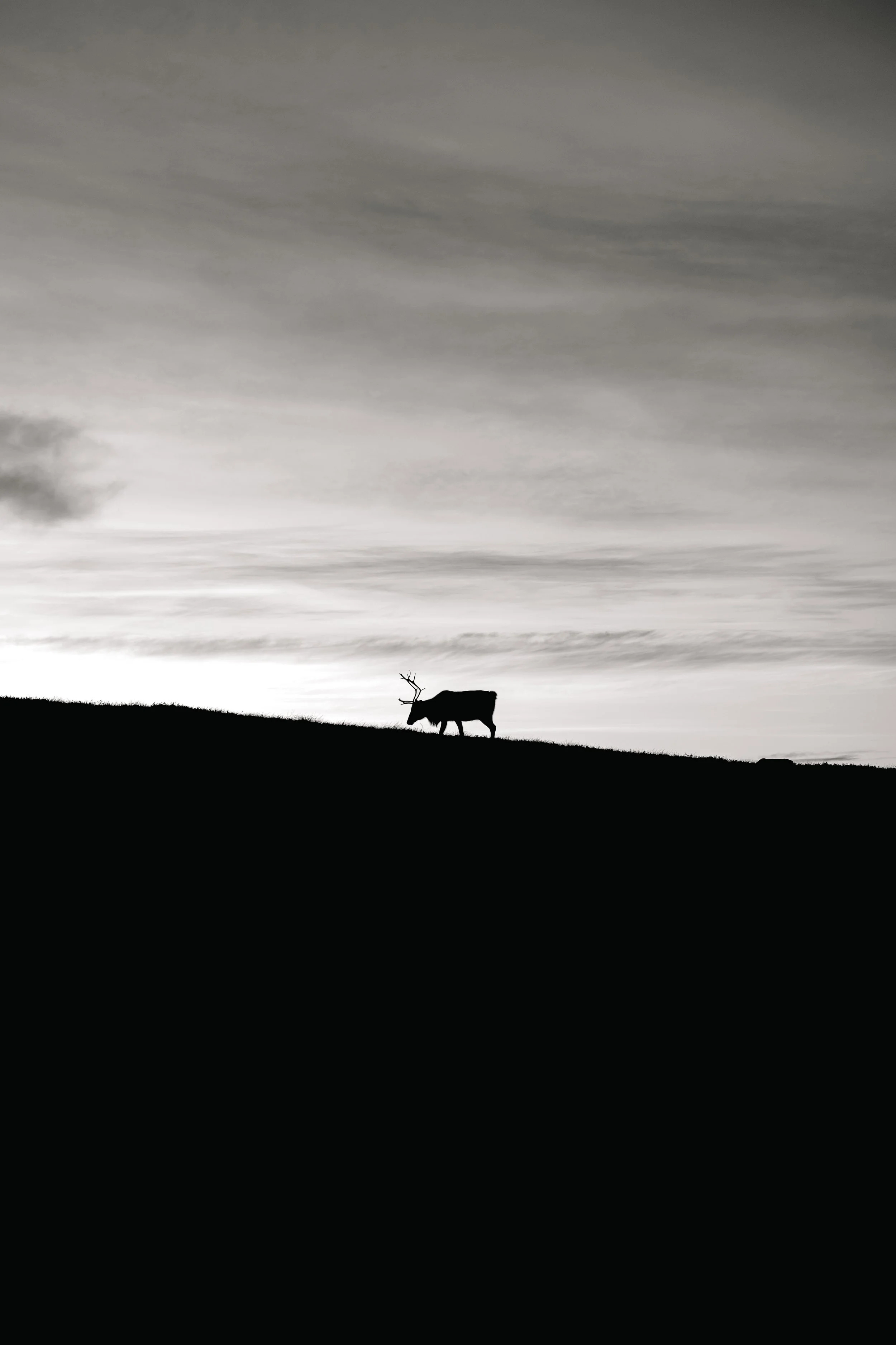 "Reindeer Plateau"