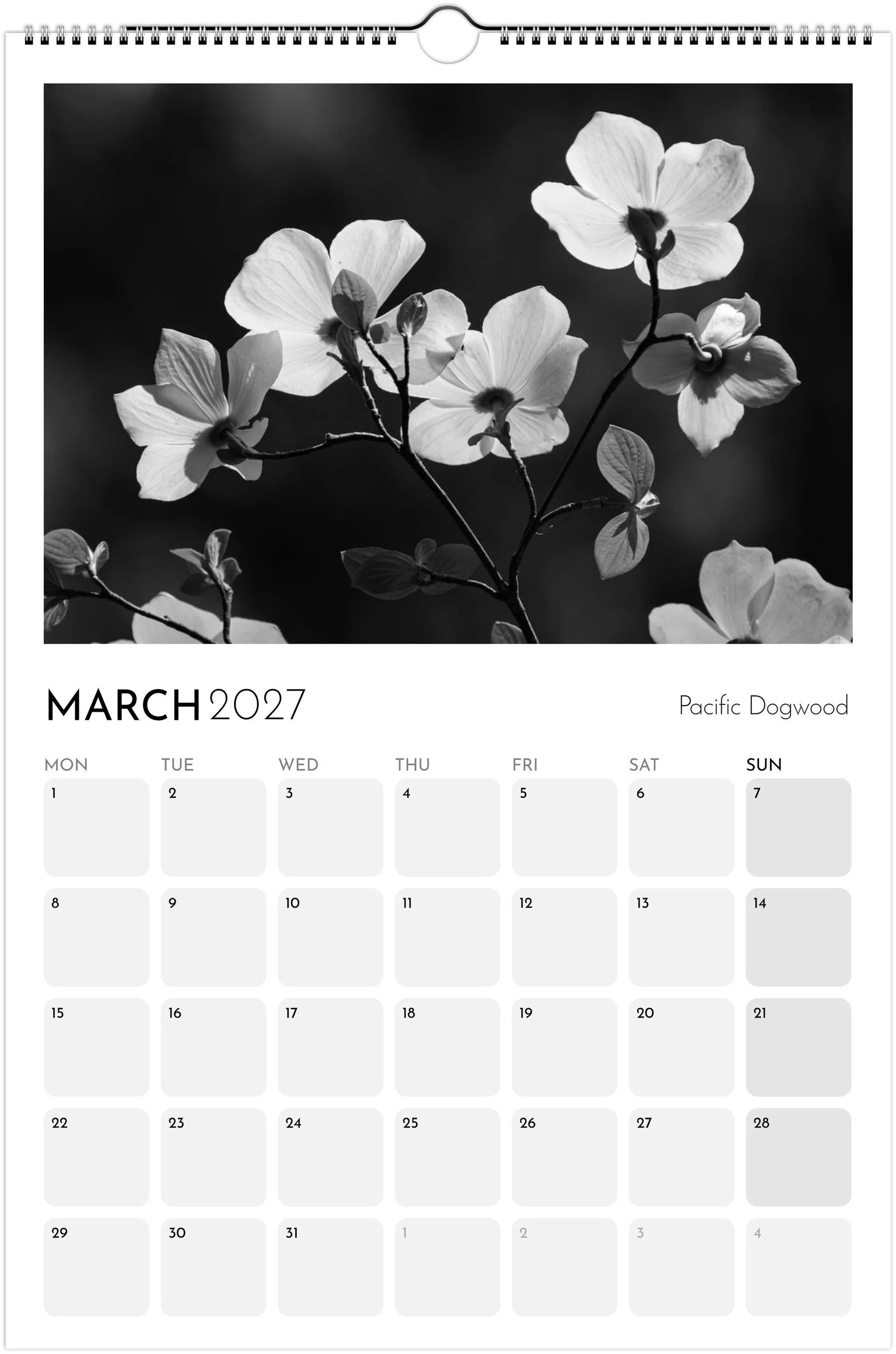 month-3.jpeg