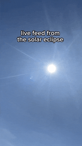 giphy (80).gif