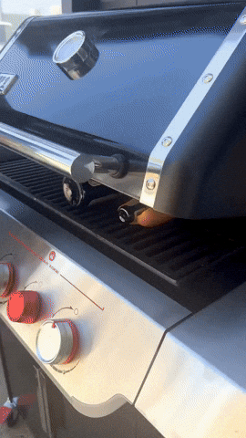 giphy (78).gif