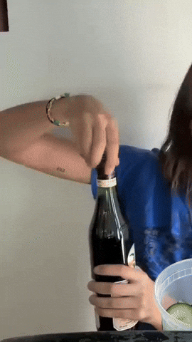 giphy (73).gif
