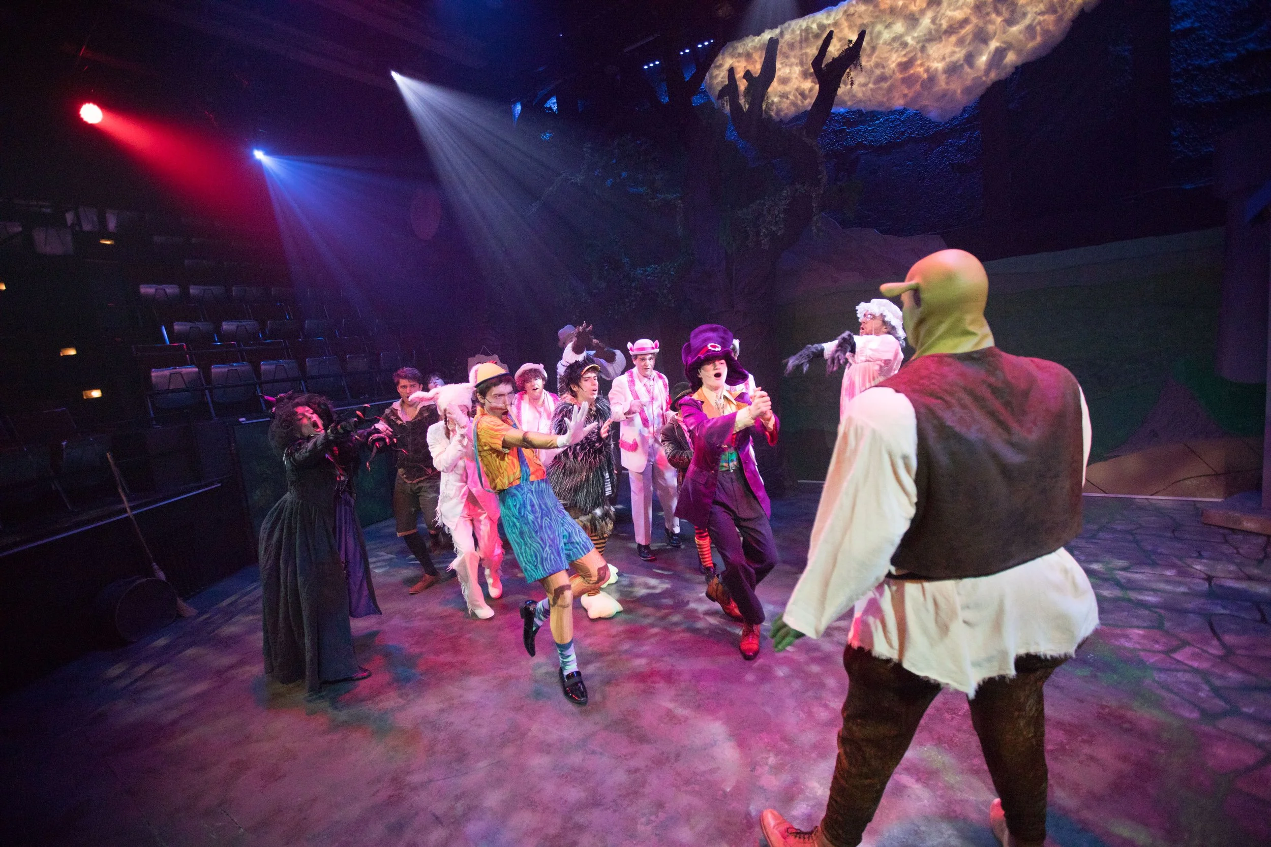 Sarah as the Ugly Duckling and the cast of Shrek at Seacoast Repertory Theatre in Portsmouth, NH
