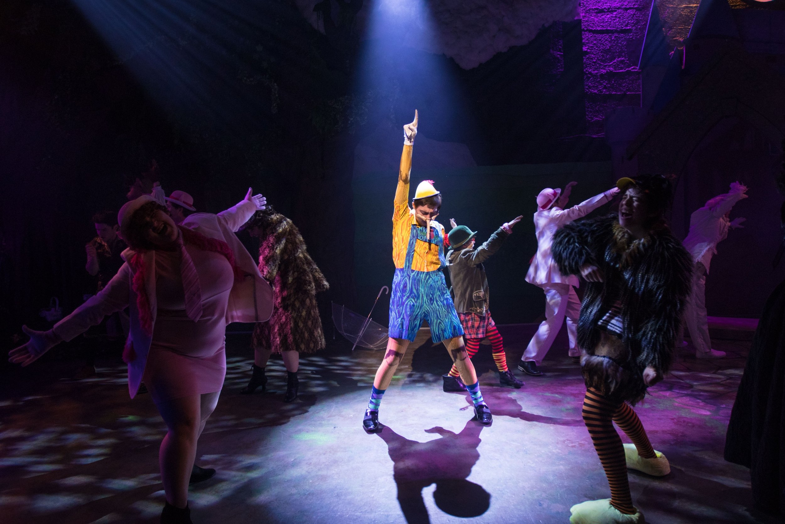 Sarah as the Ugly Duckling and the cast of Shrek at Seacoast Repertory Theatre in Portsmouth, NH