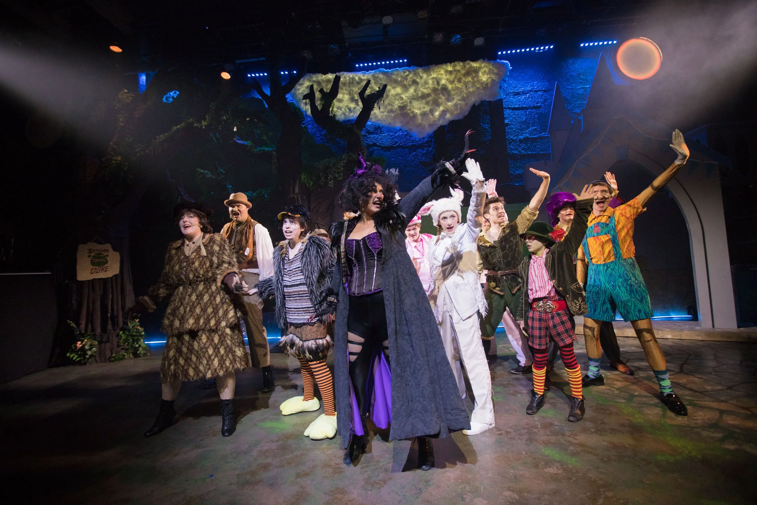 Sarah as the Ugly Duckling and the cast of Shrek at Seacoast Repertory Theatre in Portsmouth, NH