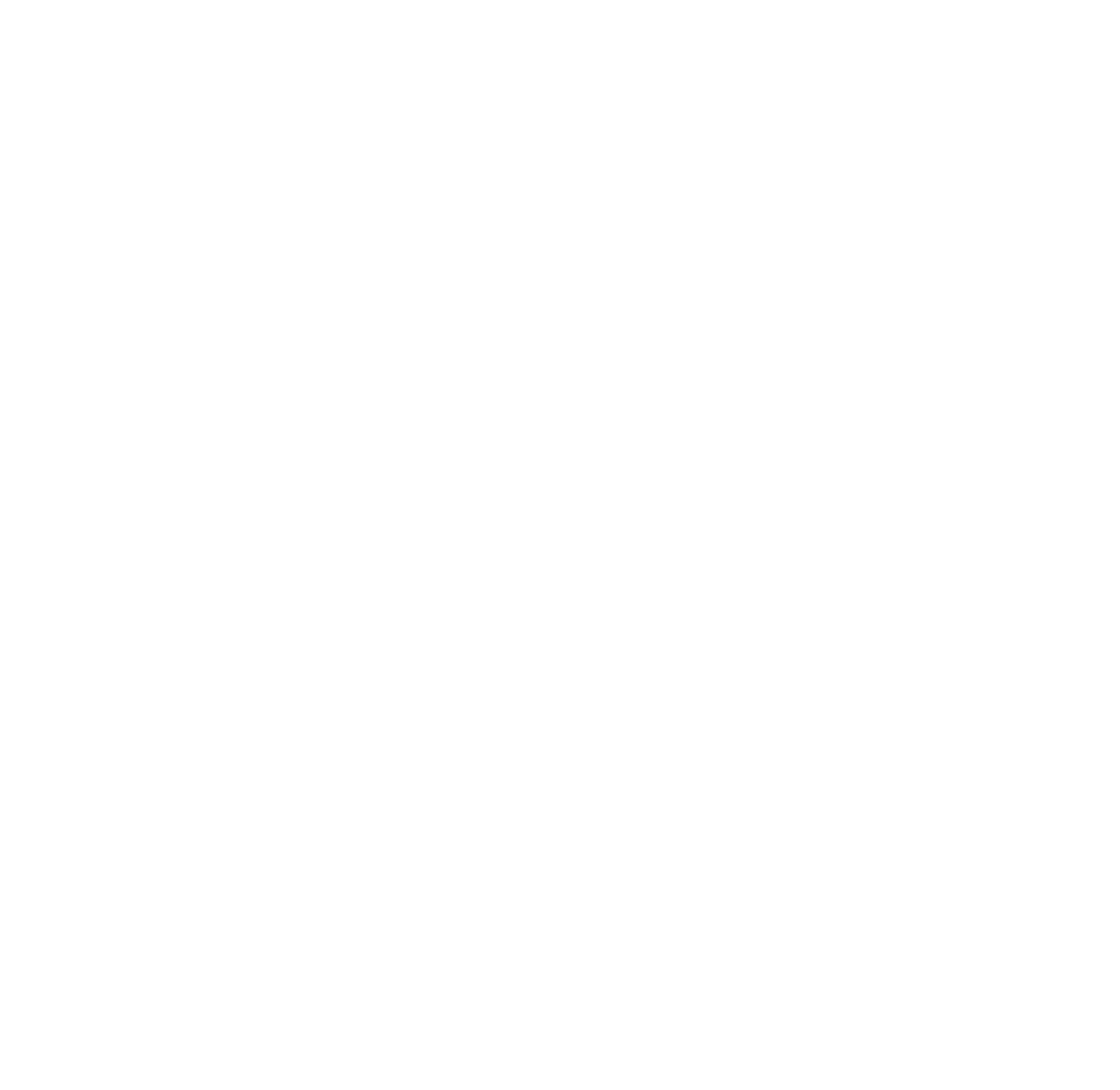 Adamson Bro's Jiu Jitsu logo