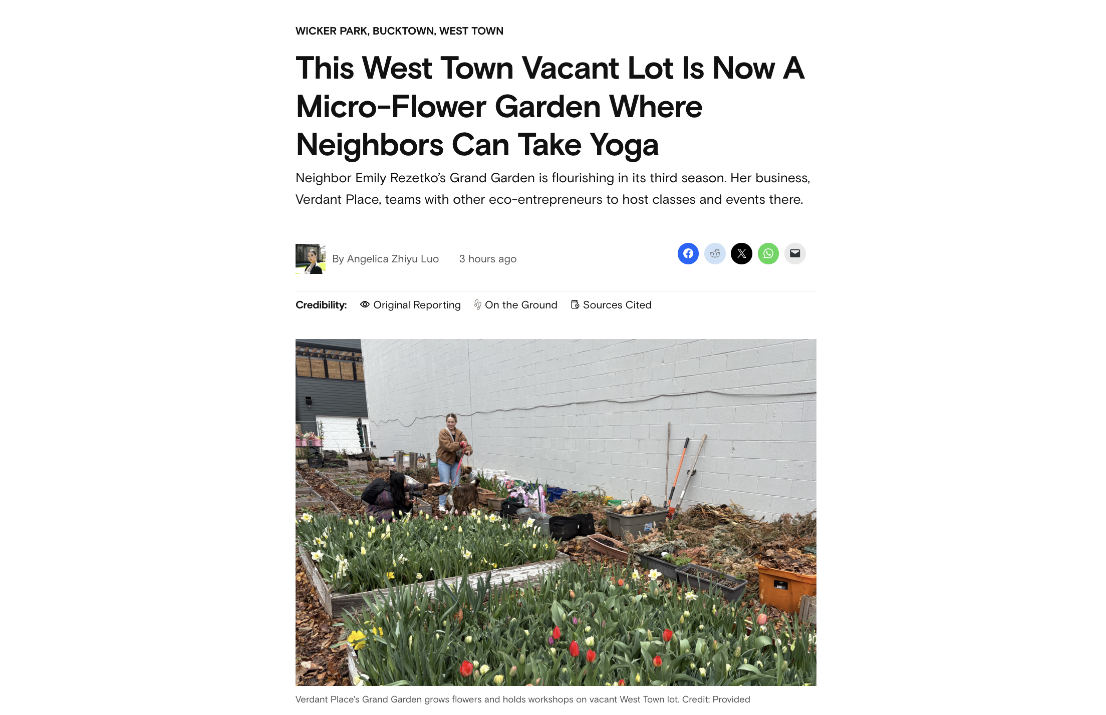 This West Town Vacant Lot Is Now A Micro-Flower Garden Where Neighbors Can Take Yoga