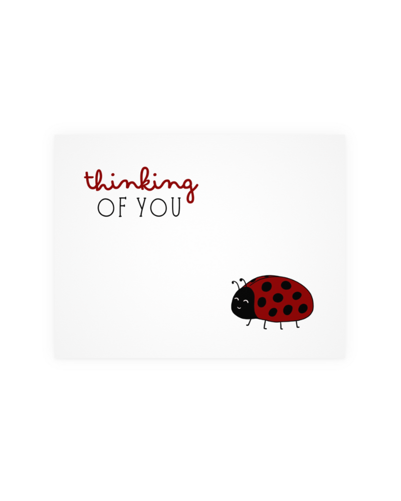 Ladybug - Website.png