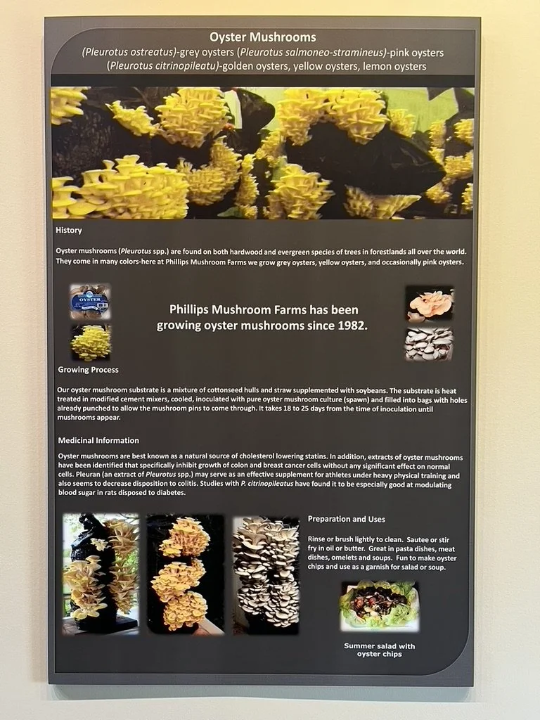Educational signage describing the harvesting and benefits of oyster mushrooms