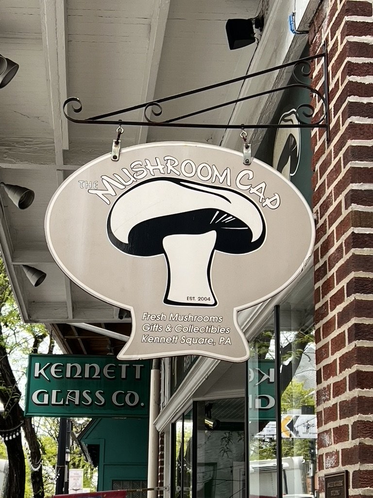 Hanging mushroom-shaped sign in front of the Mushroom Cap