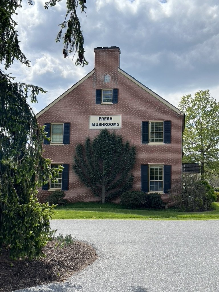 View of the Woodlands gift shop from the driveway entrance