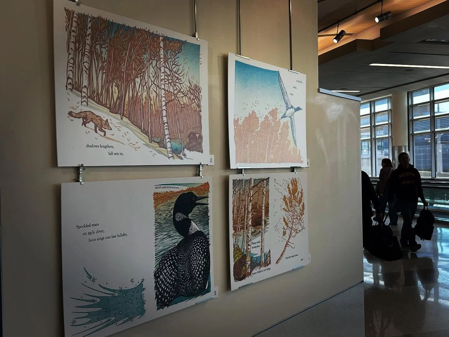 There is currently a show of the woodcut prints I made for illustrations from the children&rsquo;s book, &ldquo;Hush Hush, Forest&rdquo; on display at the @mspairport. Thanks to @uminnpress and @artsatmsp for the opportunity to exhibit work at the ai