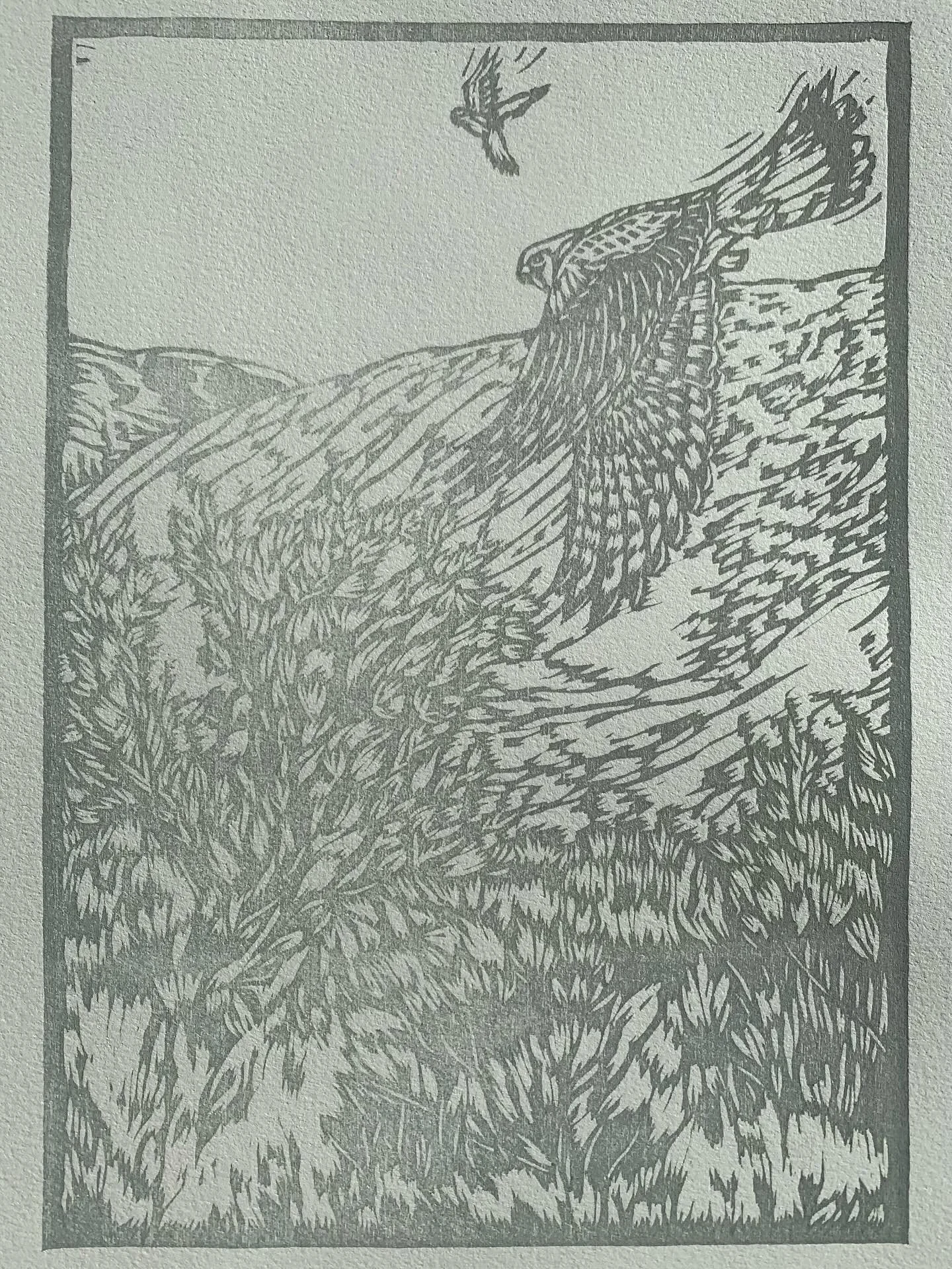 Here&rsquo;s an impression, taken out of the sequence, of the most recent stage of my foothills print. Sometimes I&rsquo;ll make a print of the outline that is slowly getting reduced to make sure the composition works even without all the colors. Wha