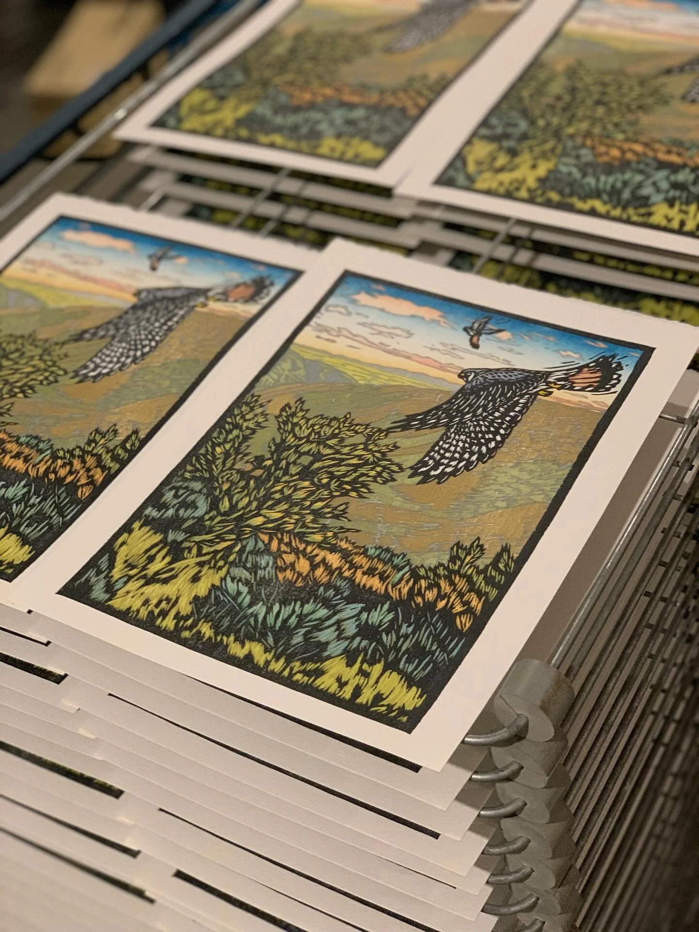 &ldquo;Number All Your Graces,&rdquo; my latest woodcut print is now up on my site and available for purchase. A print made with 22 color passes and three woodblocks, this image captures diving and hovering kestrels over the sage foothills. Reduction
