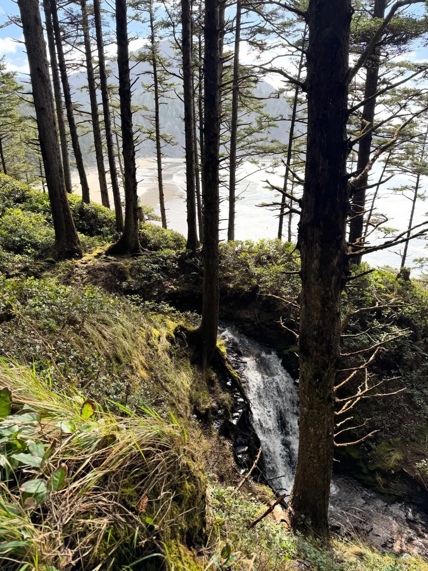 A day&rsquo;s drive from the new home. The beauty of the coast of Oregon.